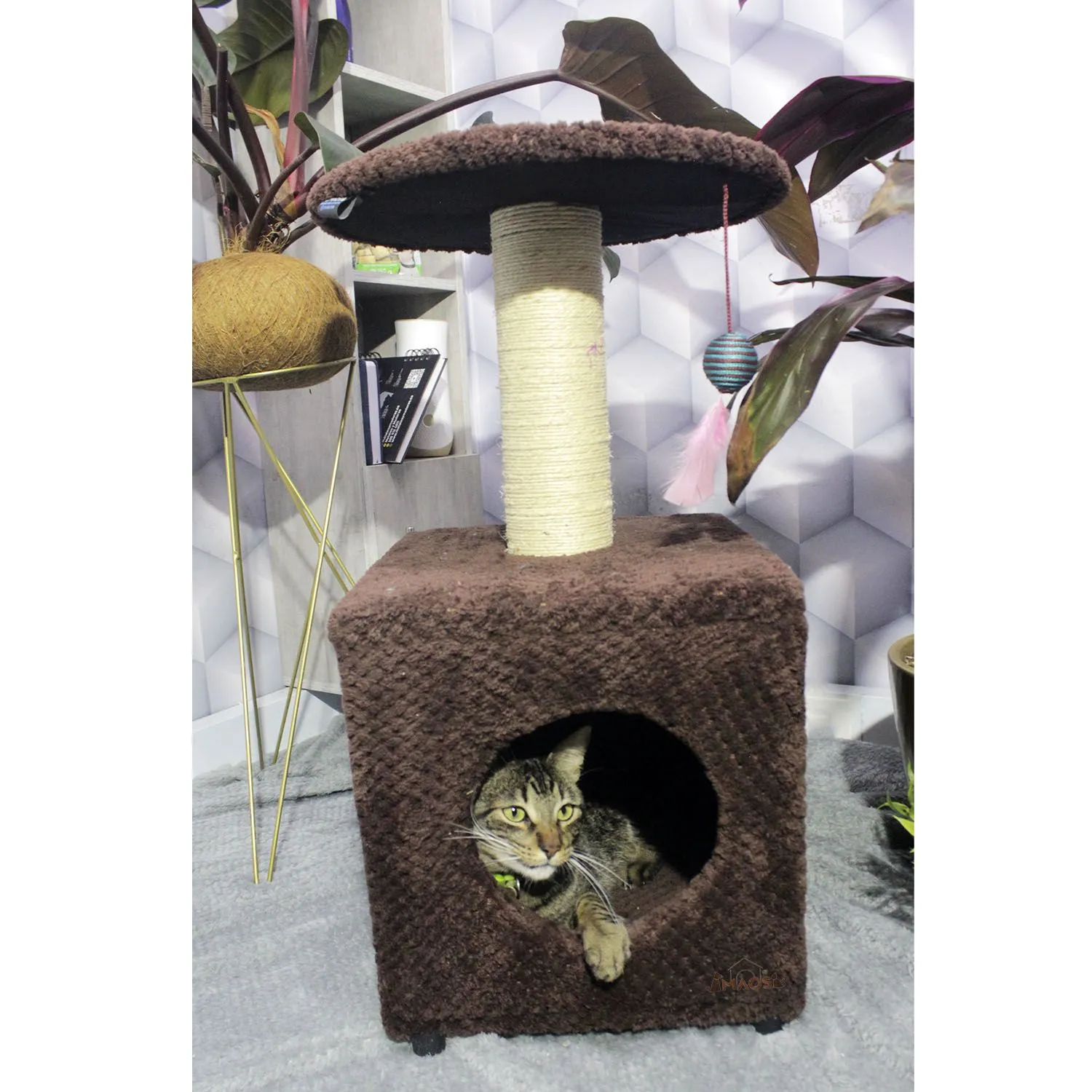 Gimnasio Rascador Para Gatos 38x32x70cm Mediano Café 3