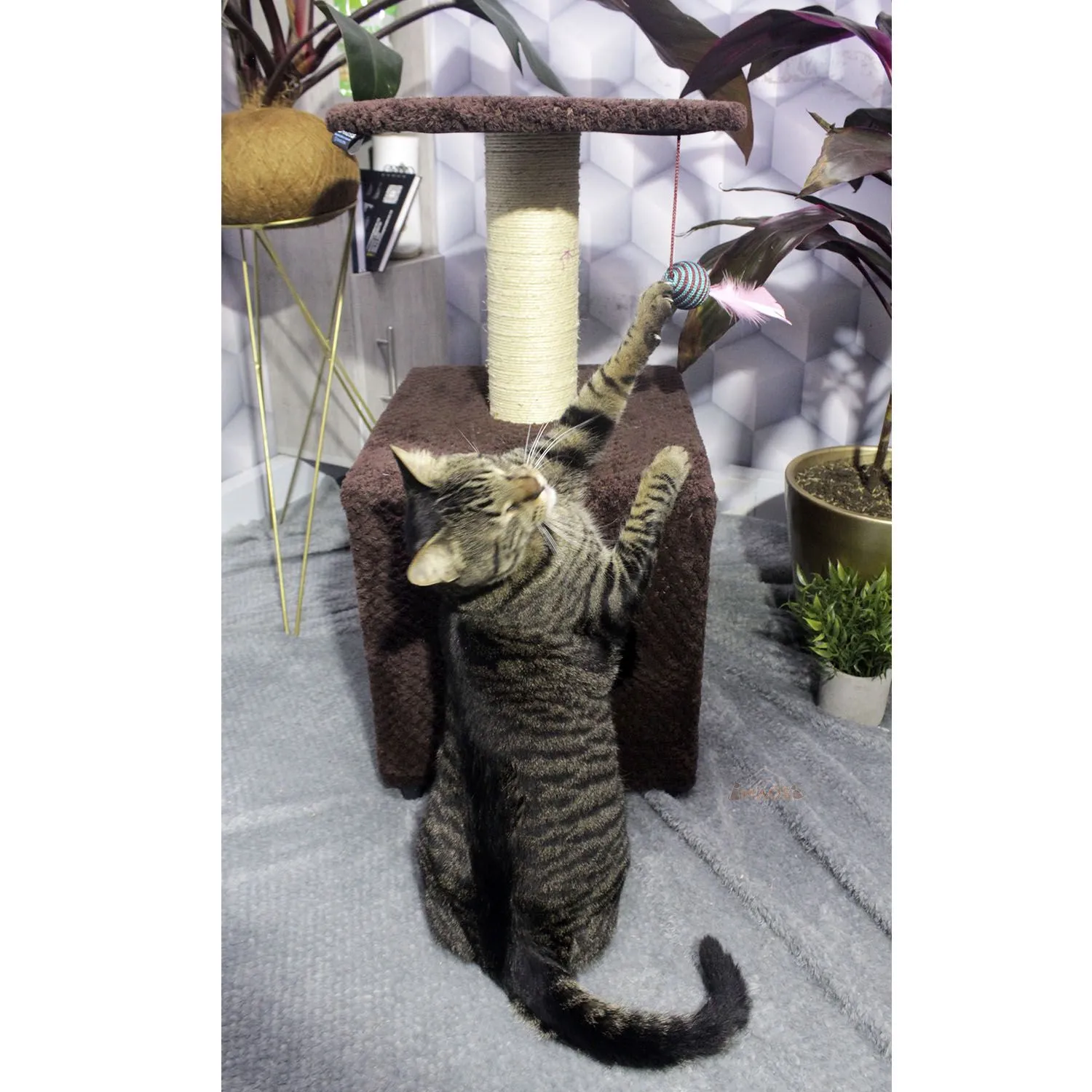 Gimnasio Rascador Para Gatos 38x32x70cm Mediano Café 4