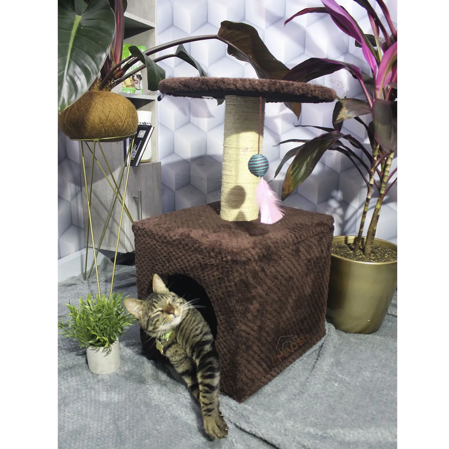 Gimnasio Rascador Para Gatos 38x32x70cm Mediano Café 5