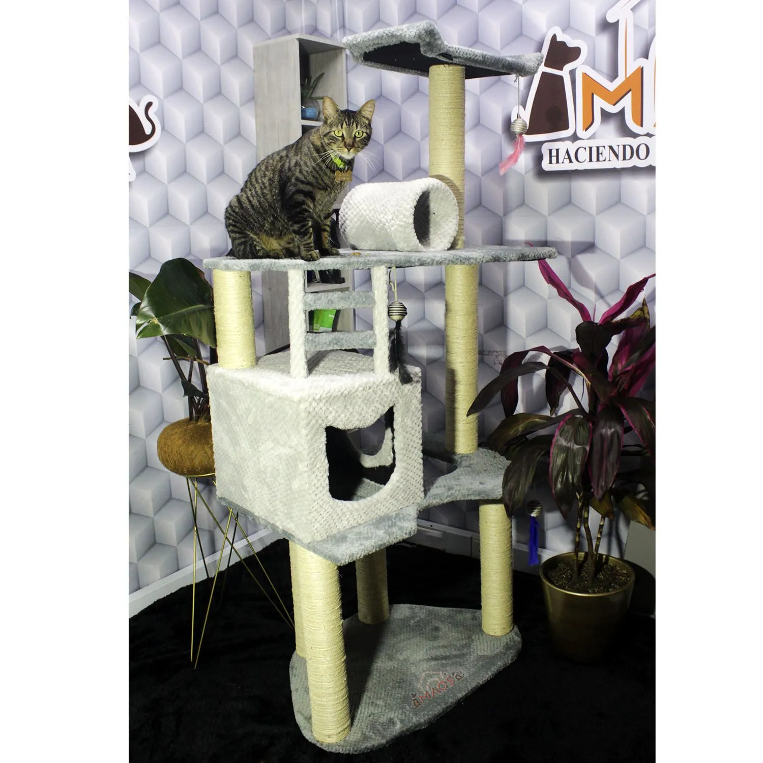 Gimnasio Rascador Para Gatos 70x50x160cm Mediano 3