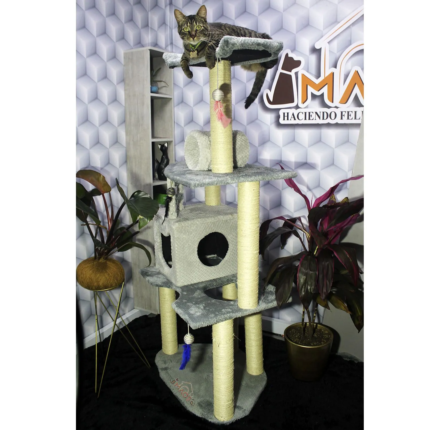 Gimnasio Rascador Para Gatos 70x50x160cm Mediano 4