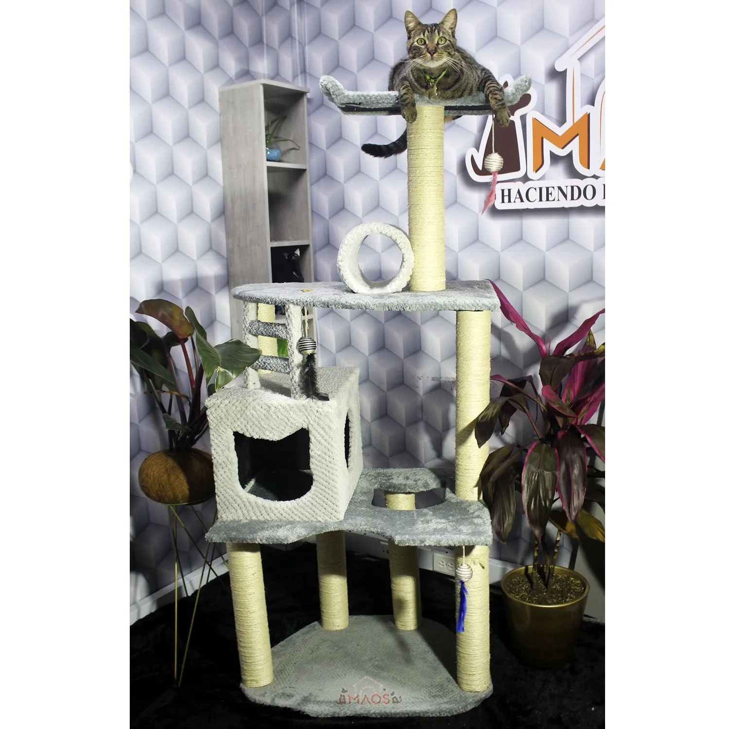 Gimnasio Rascador Para Gatos 70x50x160cm Mediano 5