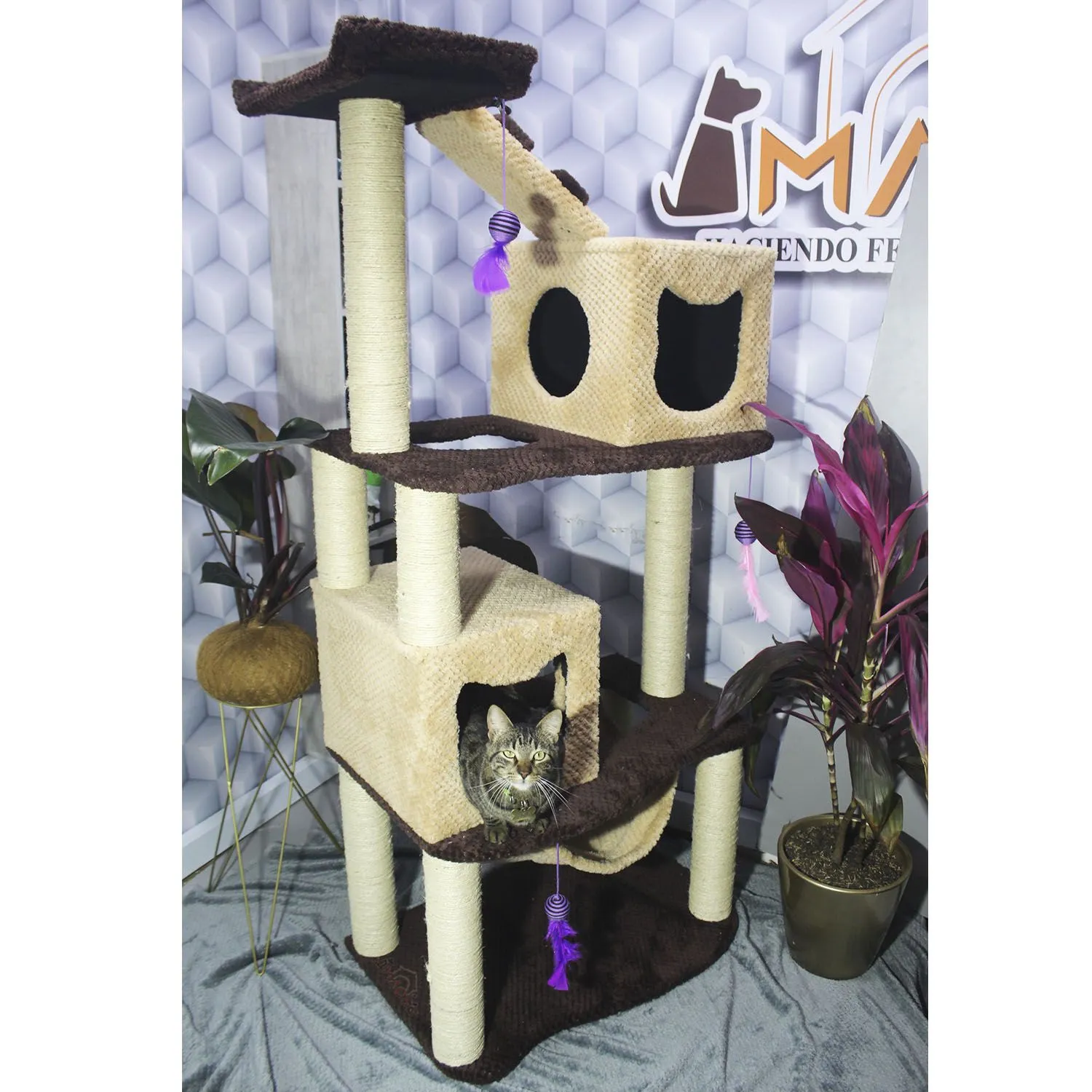 Gimnasio Rascador Para Gatos 70x50x160cm Mediano Café