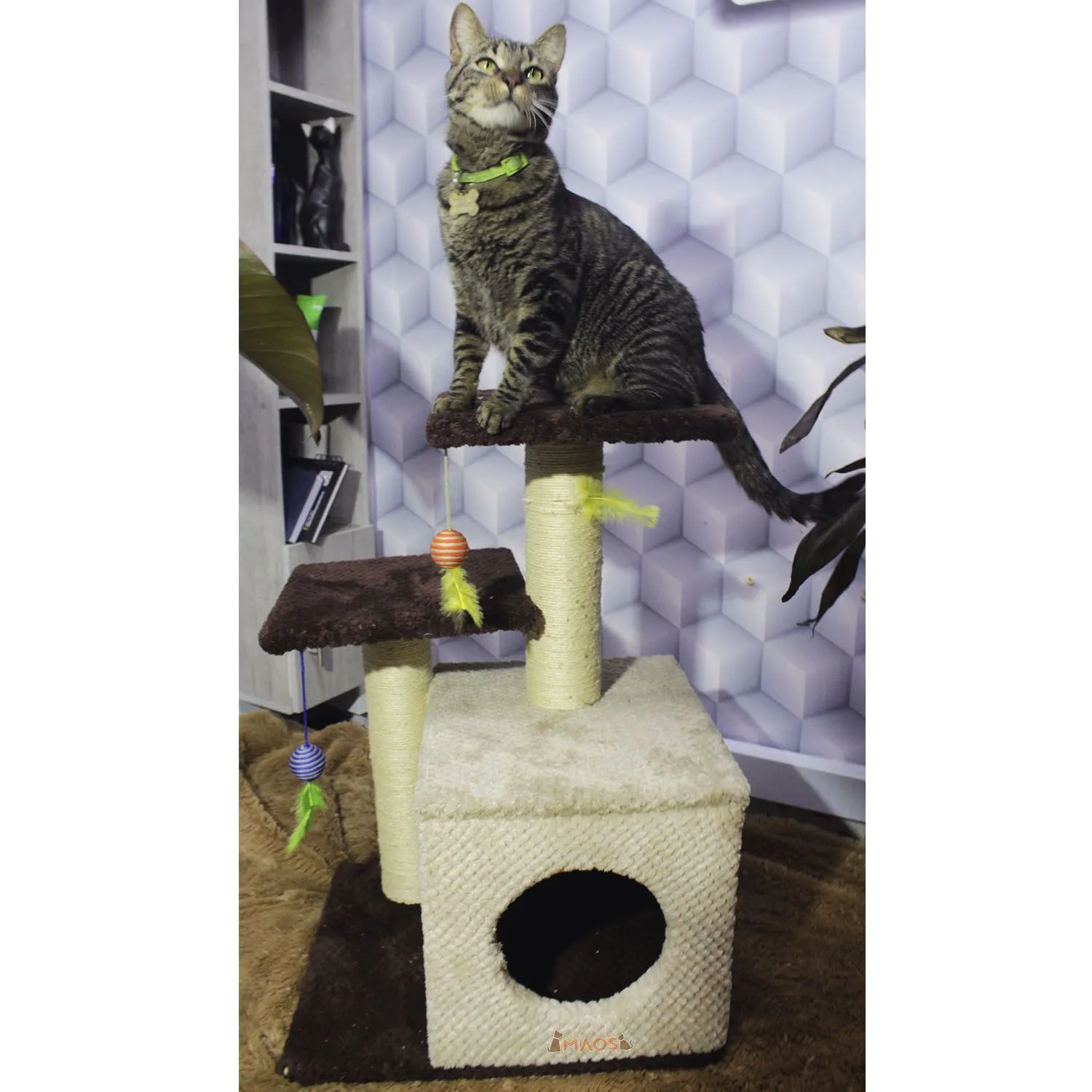 Gimnasio Rascador Para Gatos 48x38x70cm Mediano Café