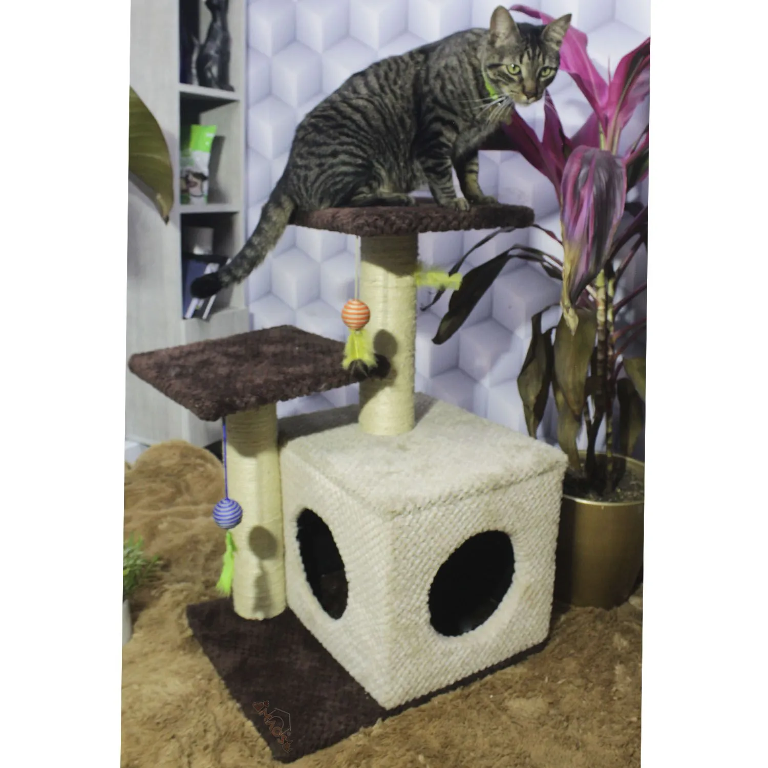 Gimnasio Rascador Para Gatos 48x38x70cm Mediano Café 3