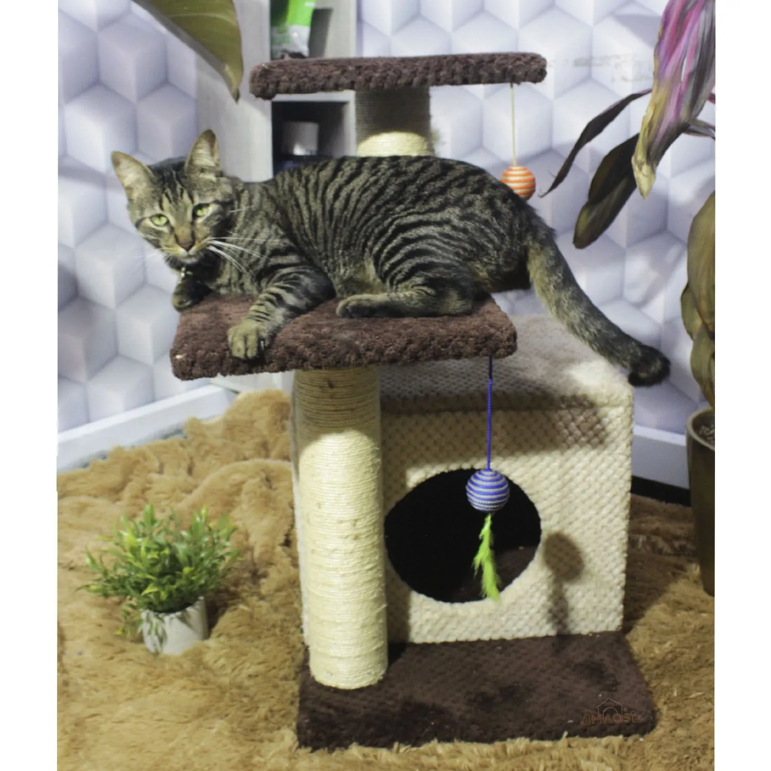 Gimnasio Rascador Para Gatos 48x38x70cm Mediano Café 4