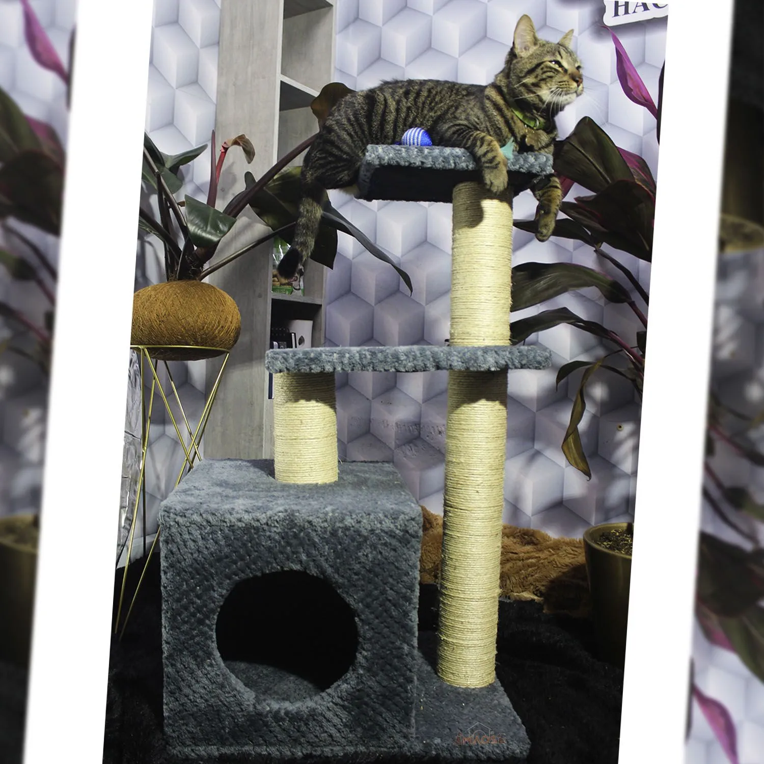 Gimnasio Rascador Para Gatos 48X38X80Cm Mediano Gris