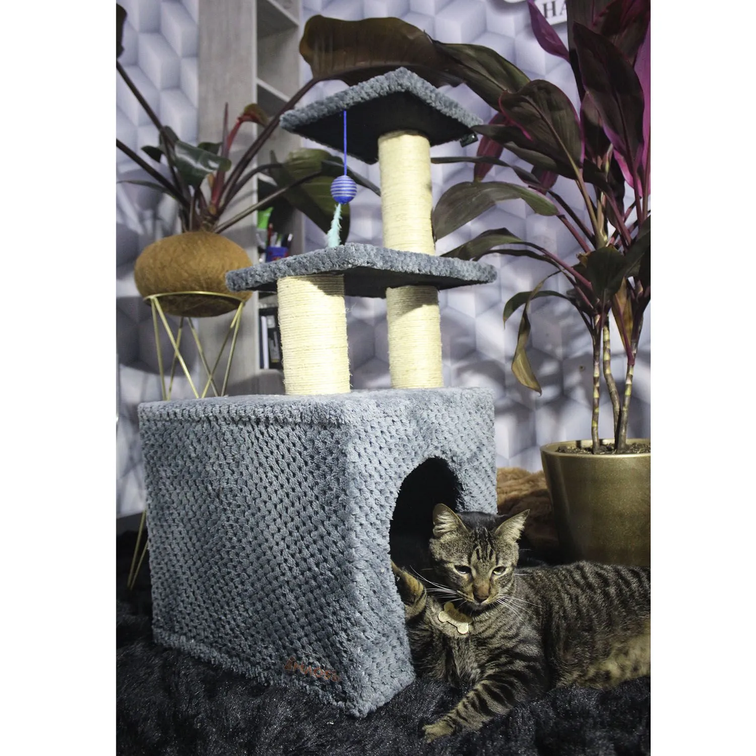 Gimnasio Rascador Para Gatos 48X38X80Cm Mediano Gris 3