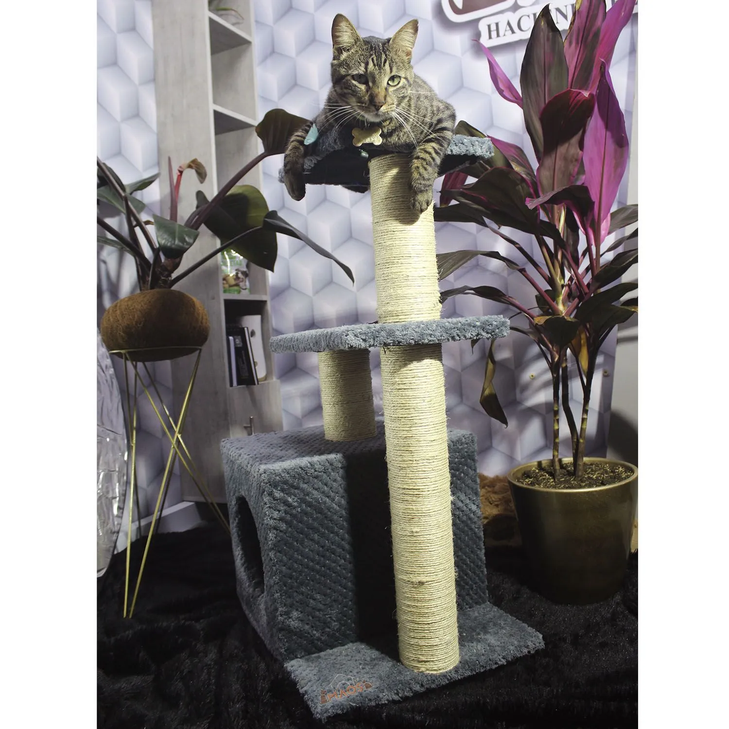 Gimnasio Rascador Para Gatos 48X38X80Cm Mediano Gris 4