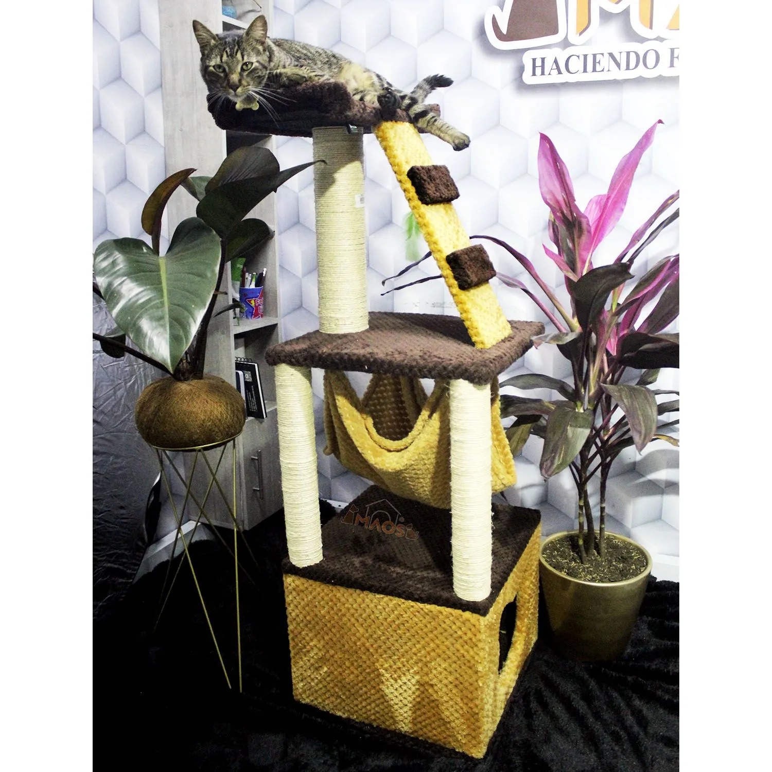 Gimnasio Rascador Para Gatos 40x40x125cm Mediano Café