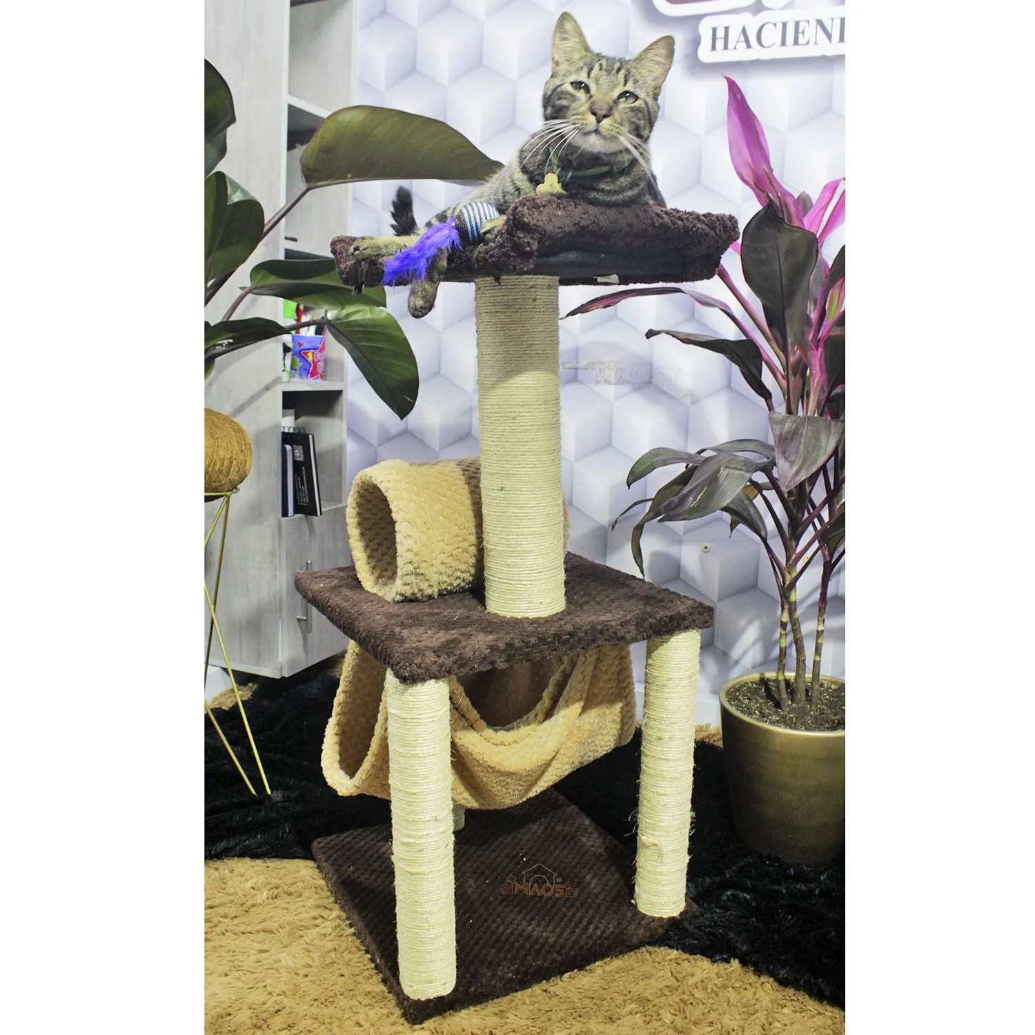 Gimnasio Rascador Para Gatos 40X40X90Cm Mediano Café 4