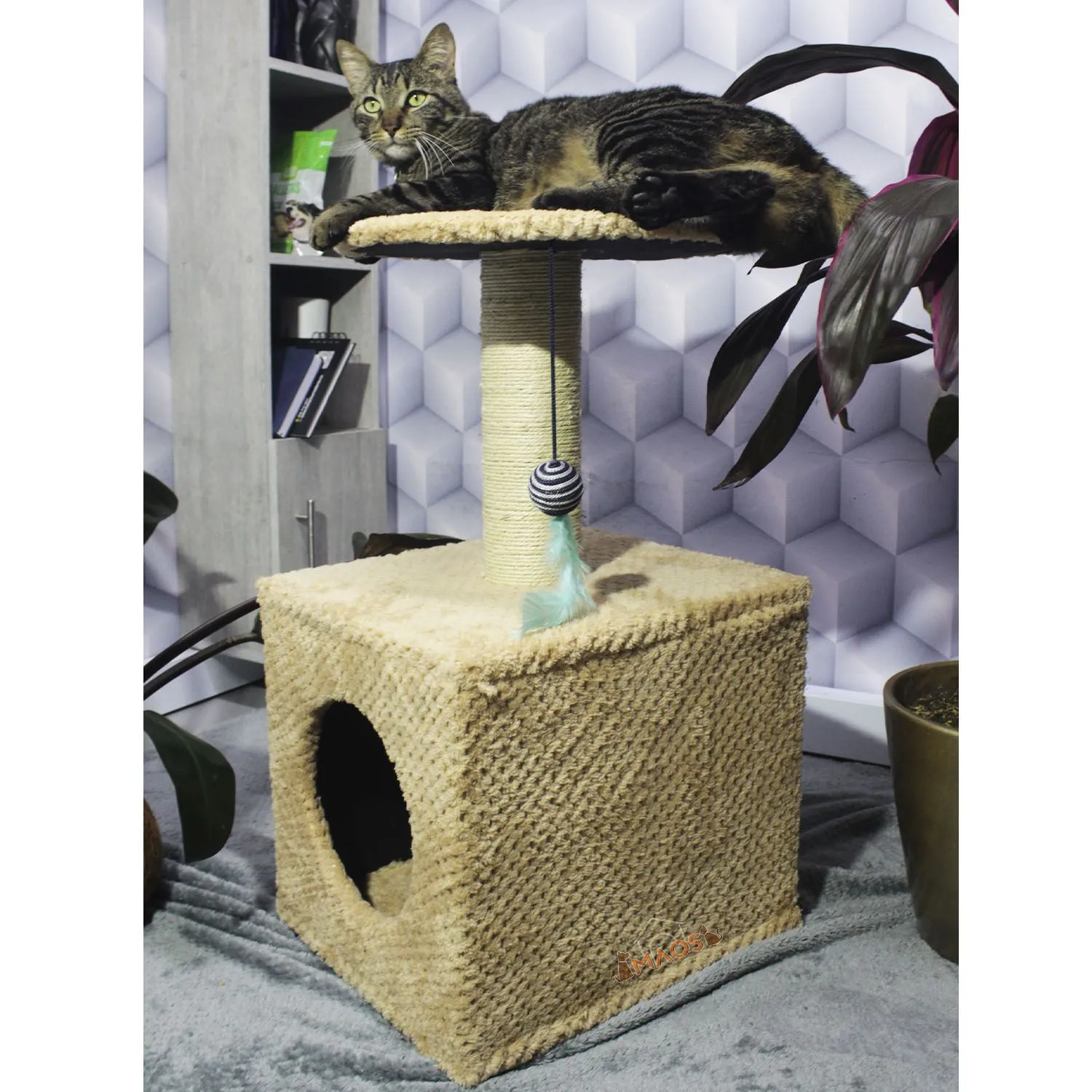 Gimnasio Rascador Para Gatos 38x32x70cm Mediano Beige 4