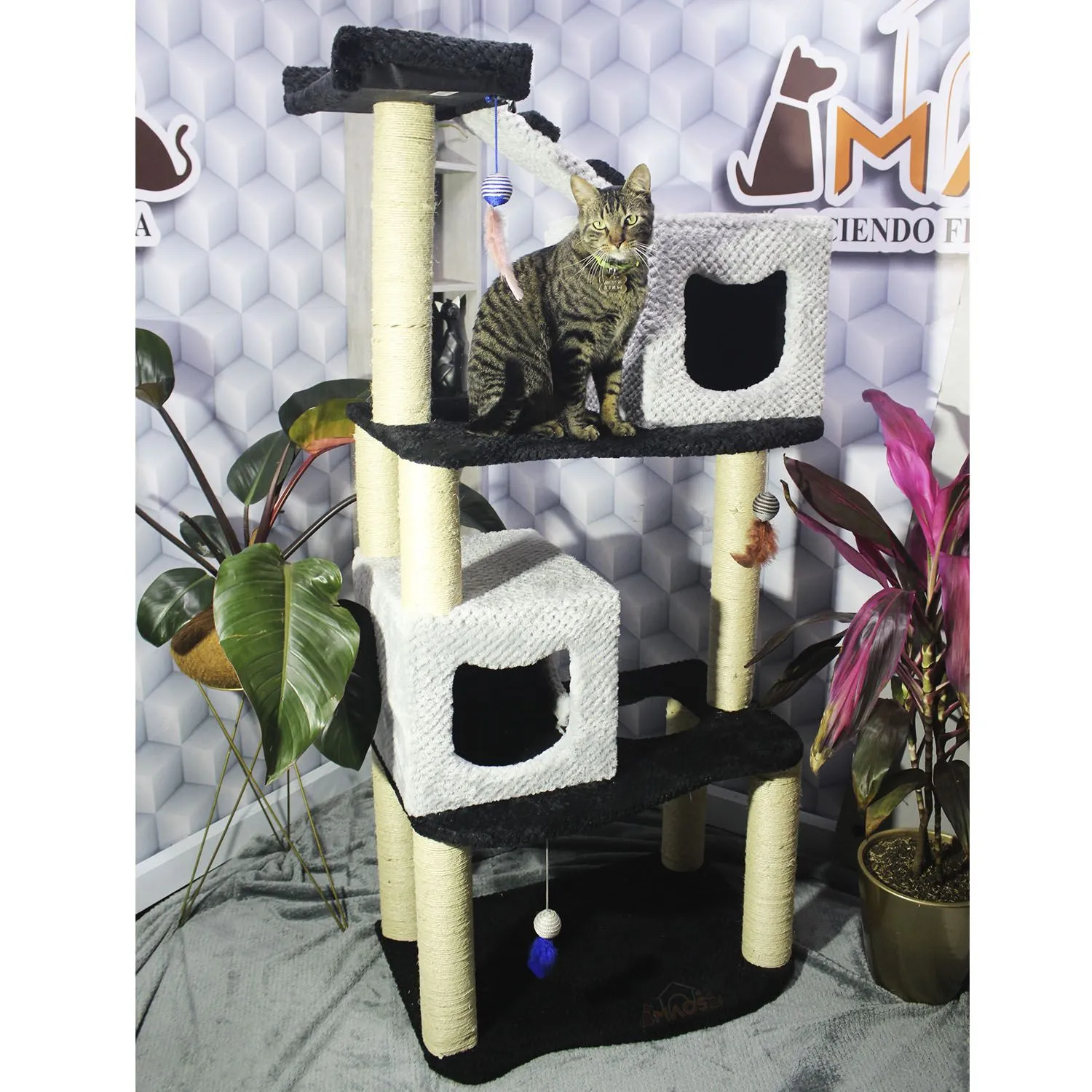 Gimnasio Rascador Para Gatos 70x50x160cm Mediano Negro