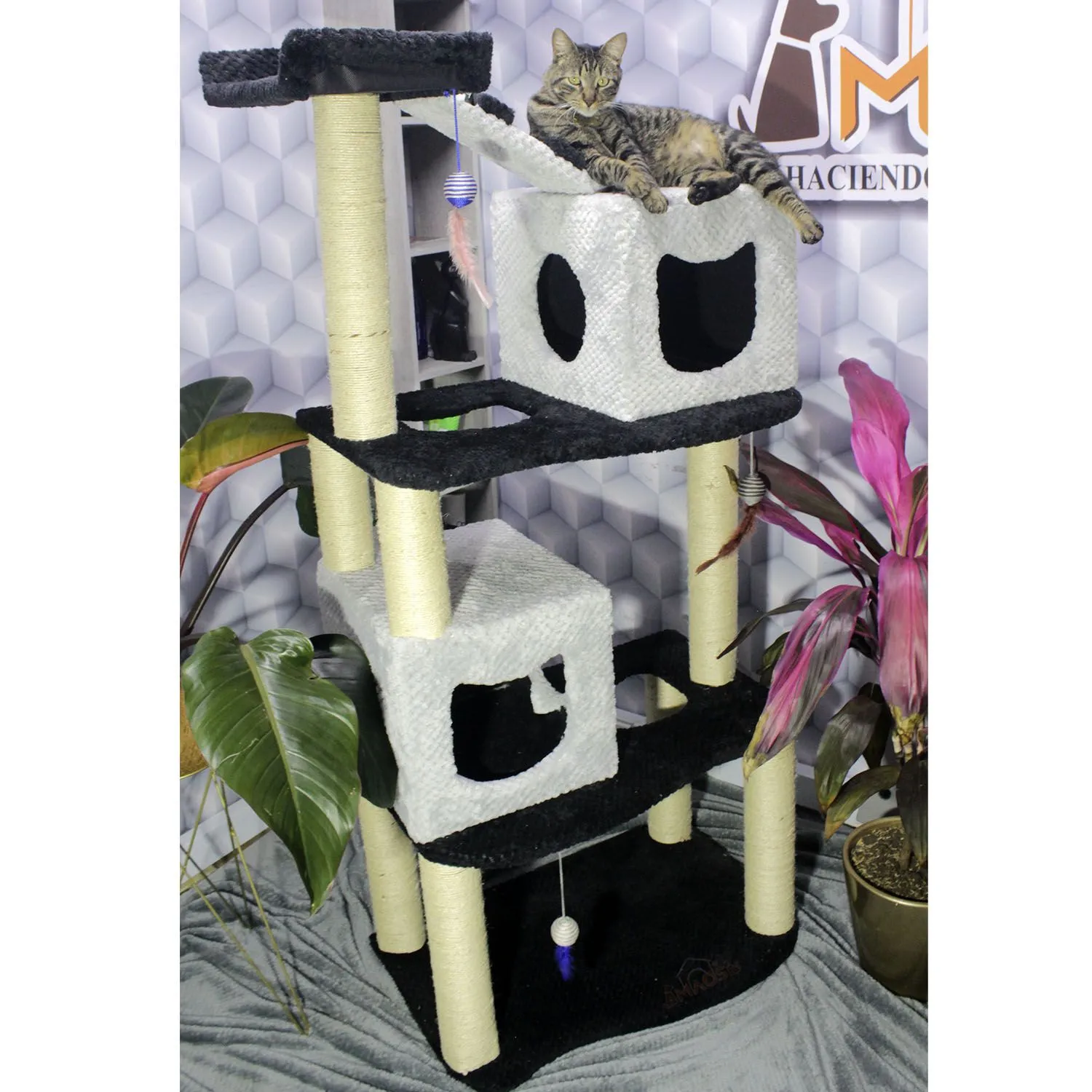 Gimnasio Rascador Para Gatos 70x50x160cm Mediano Negro 5