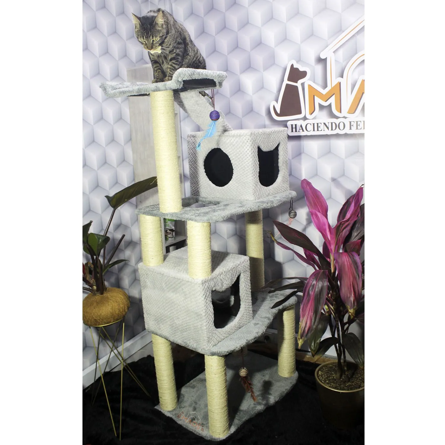 Gimnasio Rascador Para Gatos 70X50X160Cm Mediano