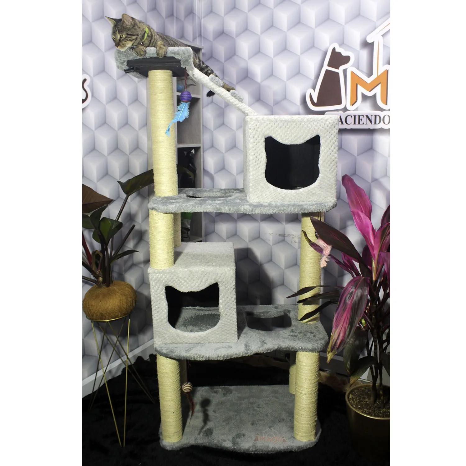 Gimnasio Rascador Para Gatos 70X50X160Cm Mediano 3