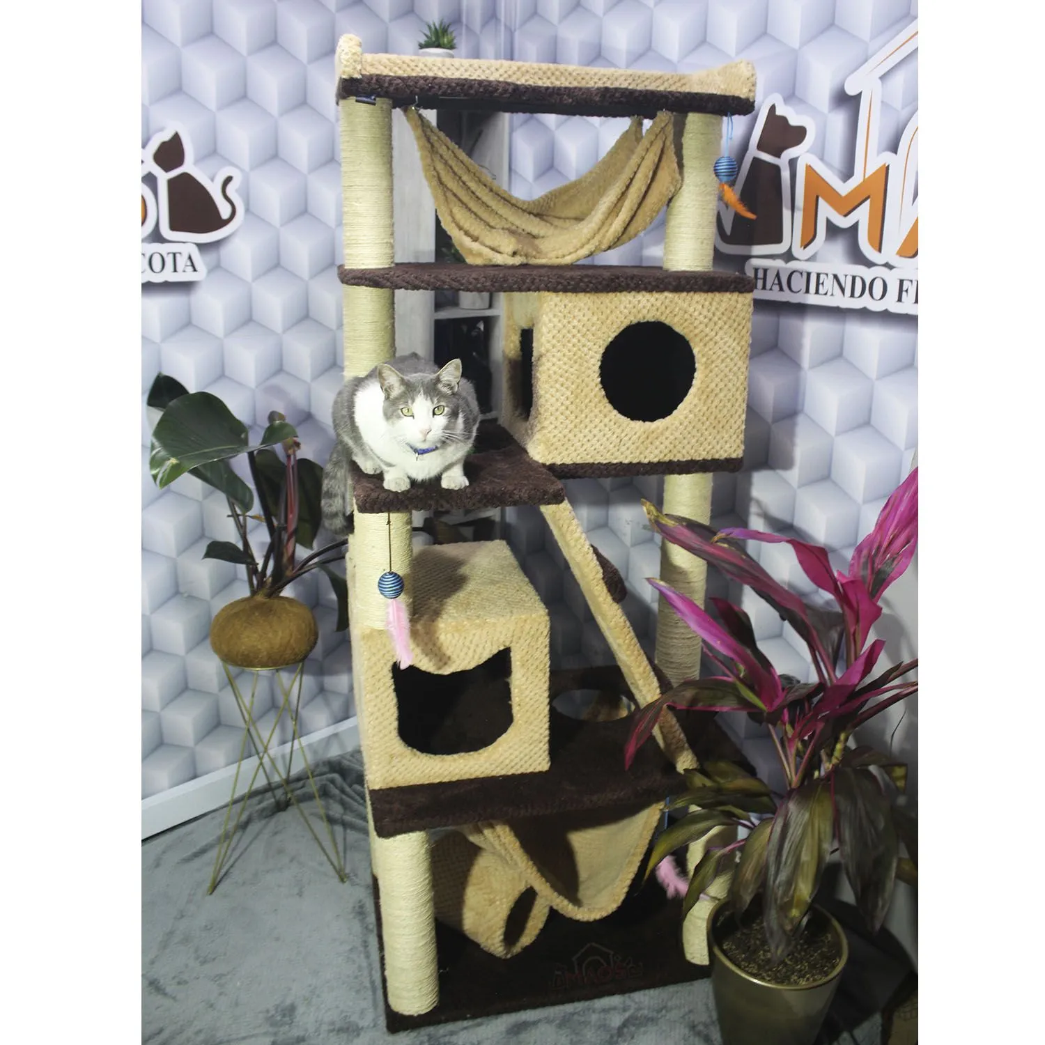 Gimnasio Rascador Para Gatos Mediano Café 70x50x180 cm