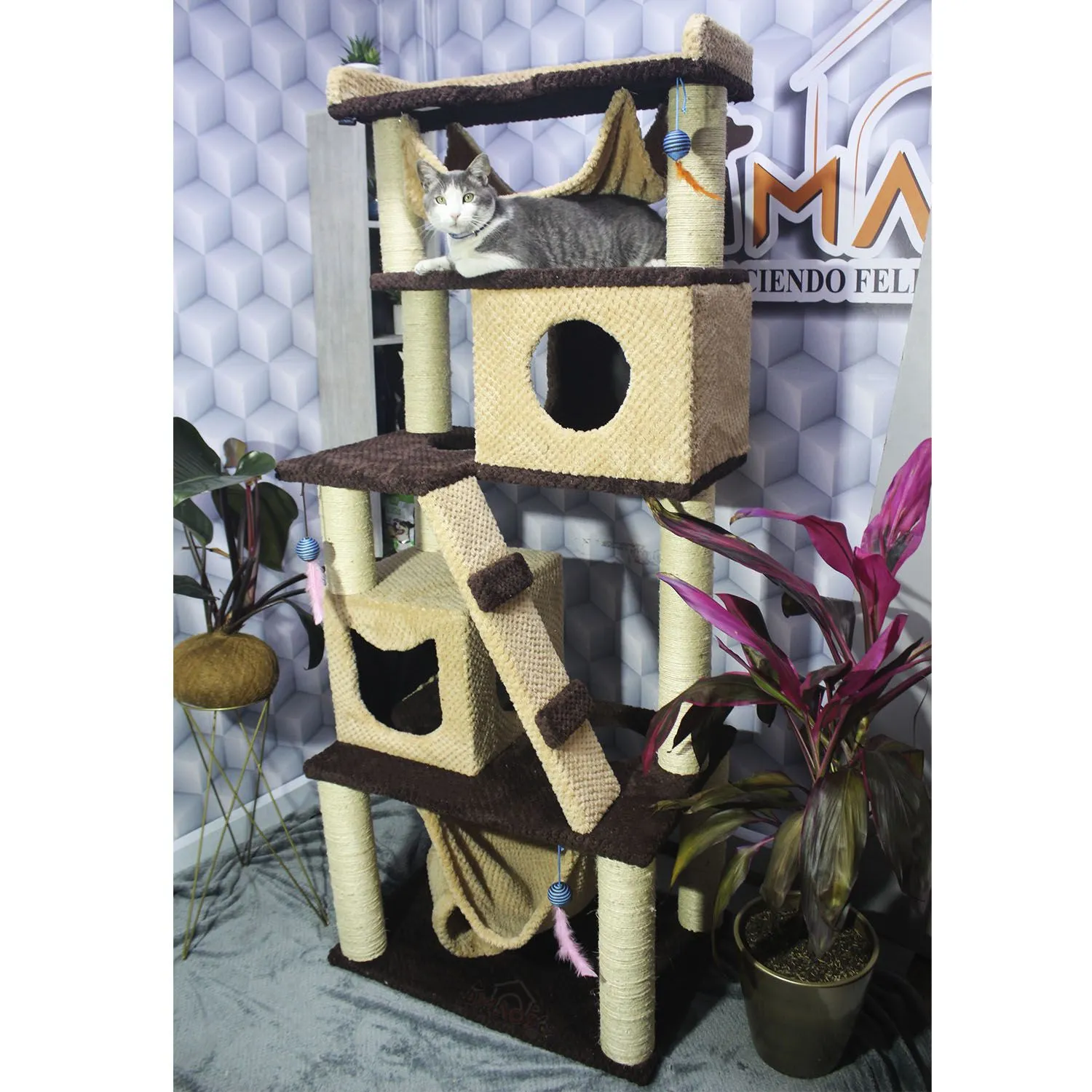 Gimnasio Rascador Para Gatos Mediano Café 70x50x180 cm 3