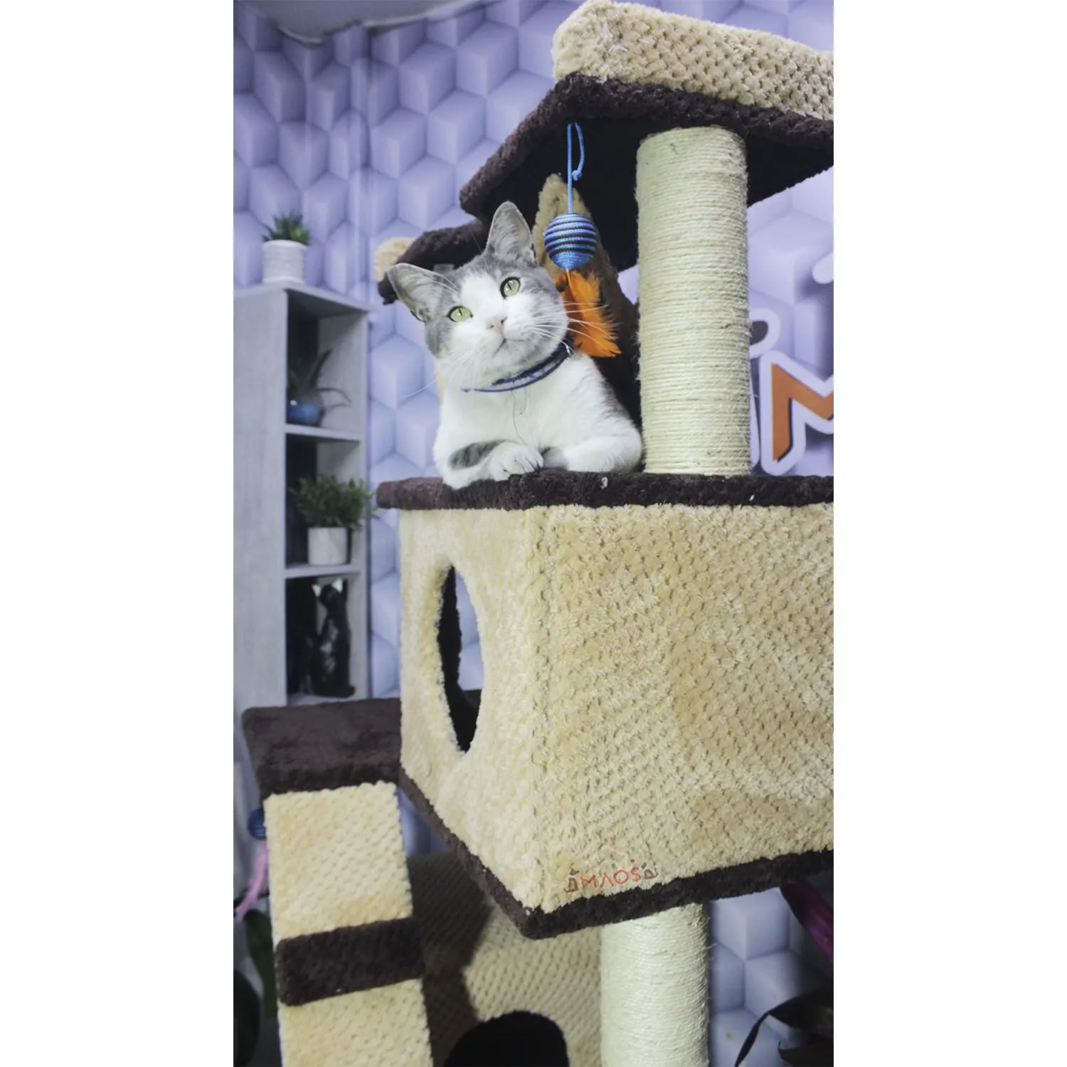 Gimnasio Rascador Para Gatos Mediano Café 70x50x180 cm 4
