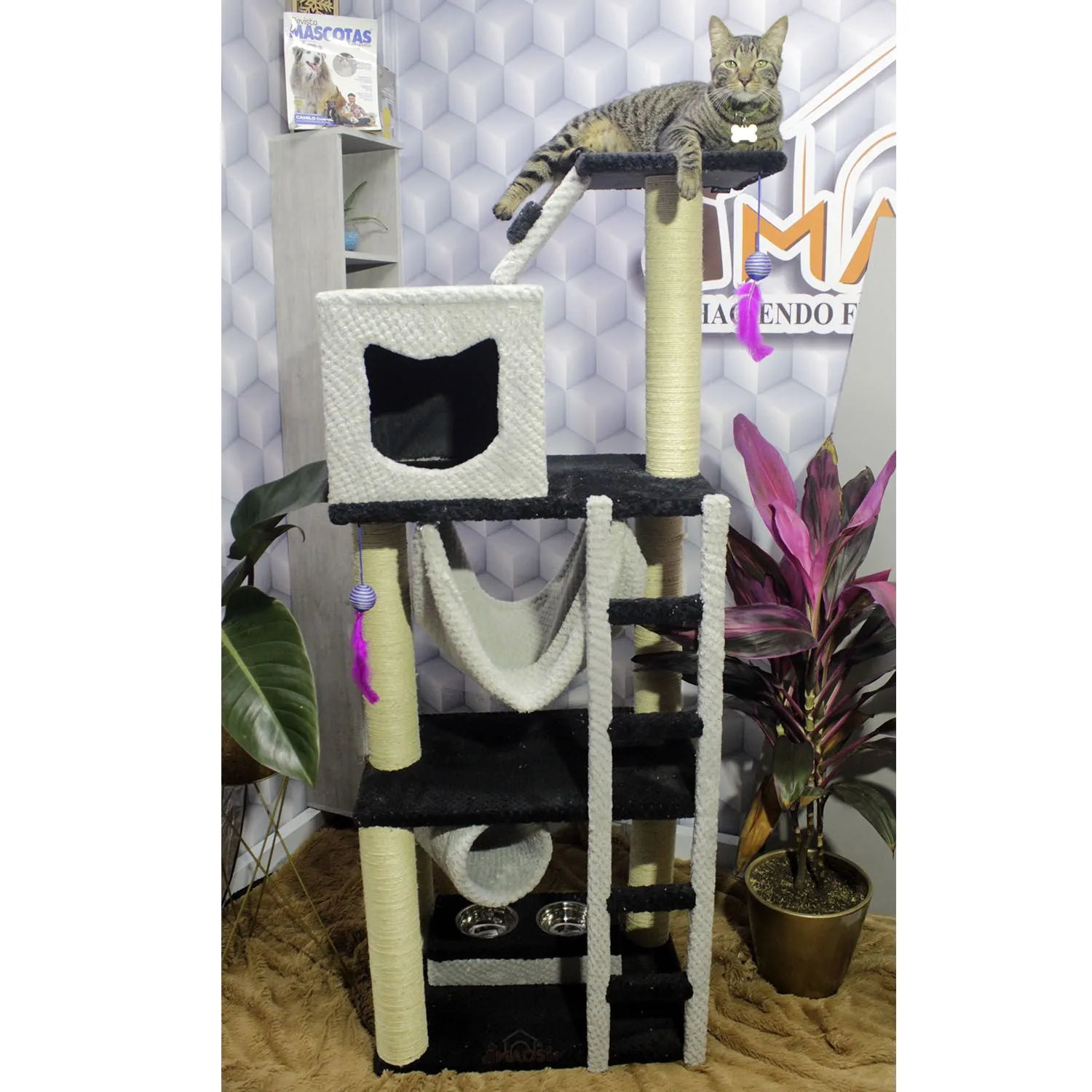 Gimnasio Rascador Para Gatos 60x40x160cm Mediano Negro
