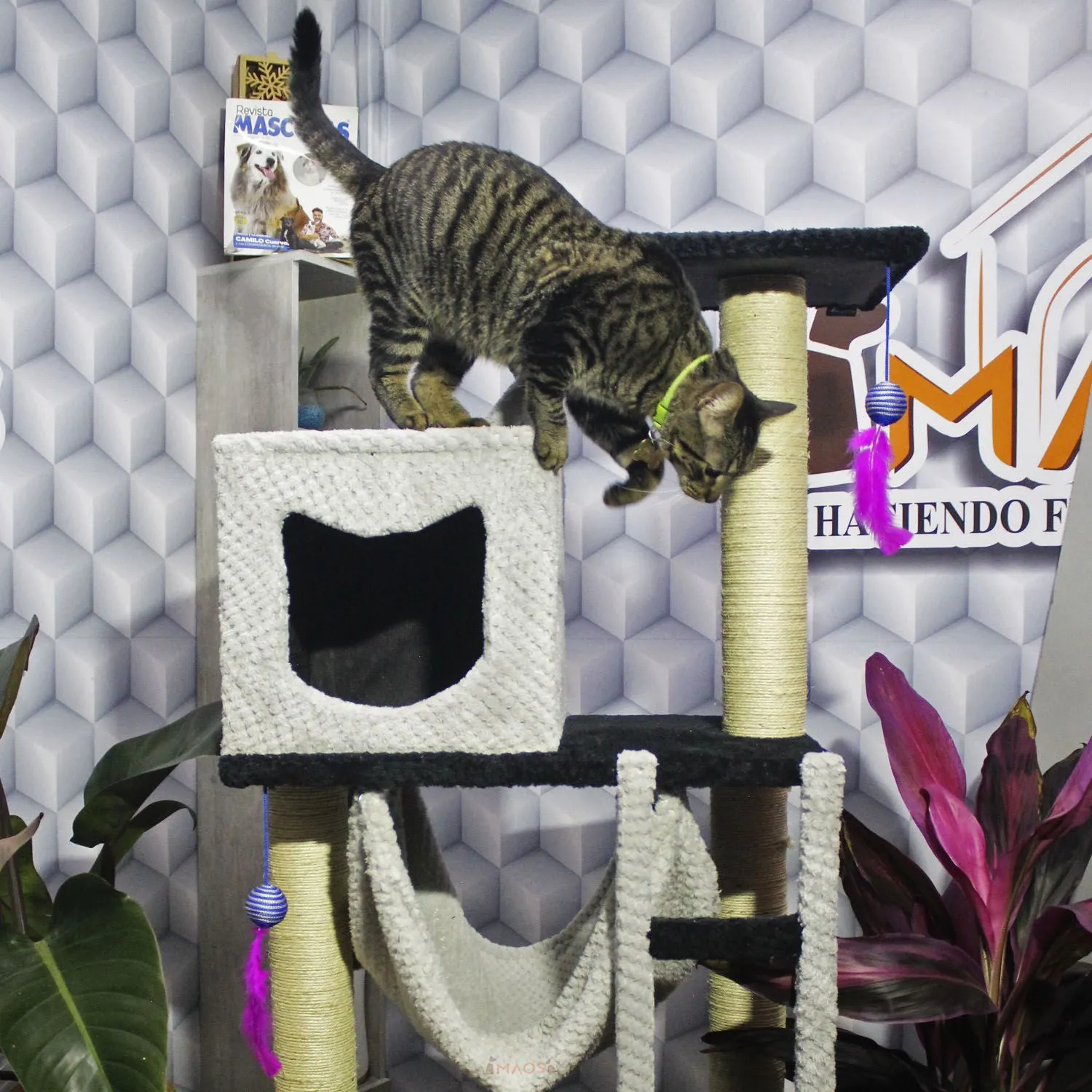 Gimnasio Rascador Para Gatos 60x40x160cm Mediano Negro 3