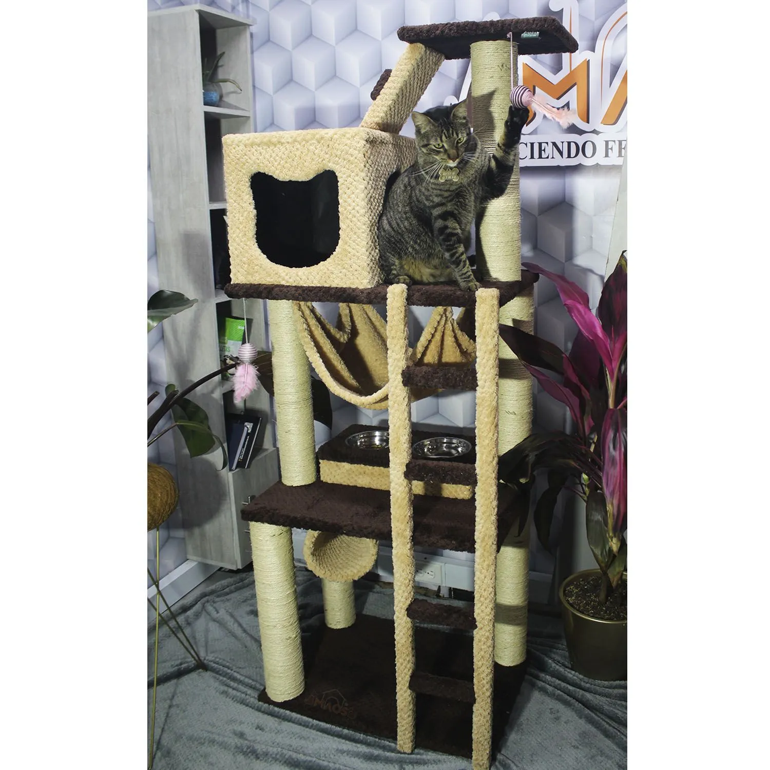 Gimnasio Rascador Para Gatos Mediano Café 60x40x160cm 4