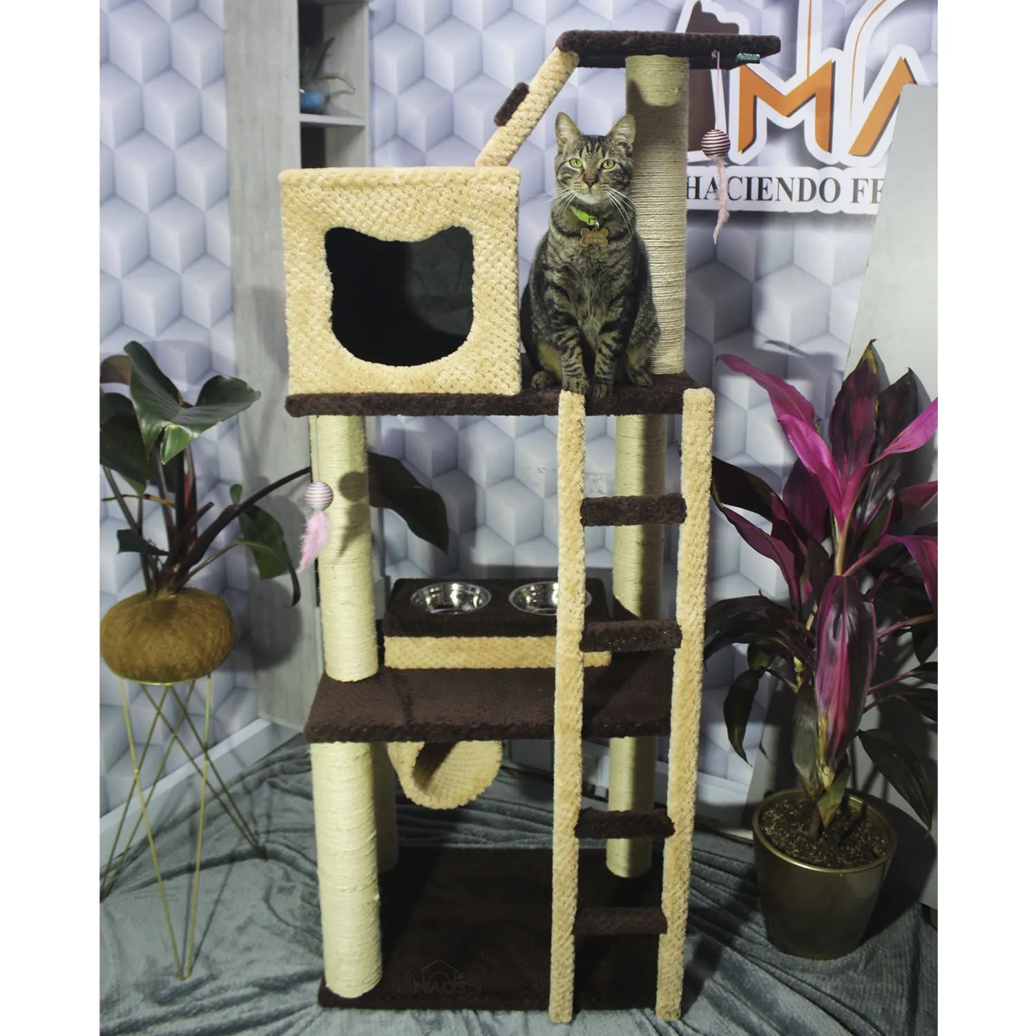 Gimnasio Rascador Para Gatos Mediano Café 60x40x160cm 5