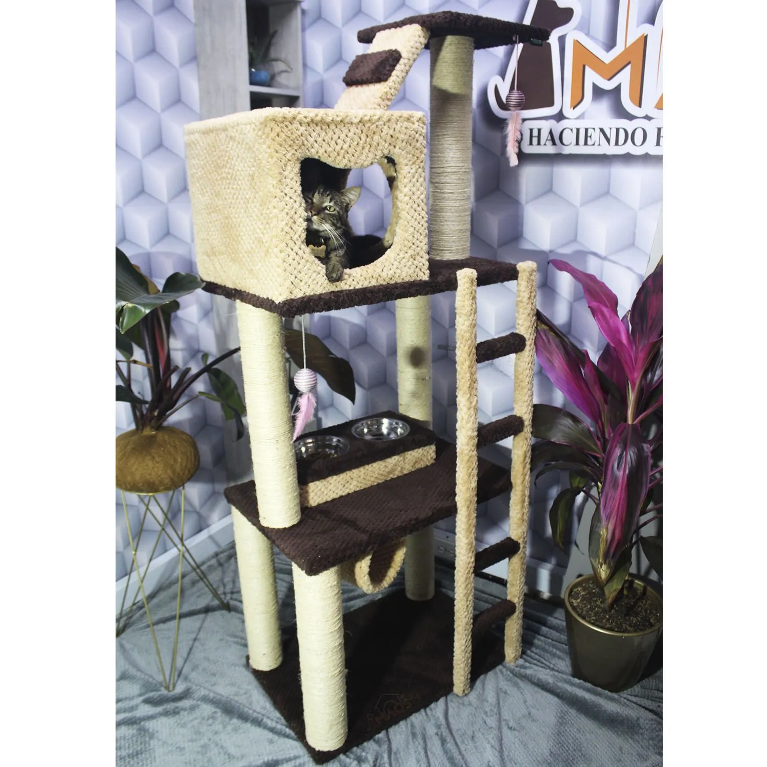 Gimnasio Rascador Para Gatos Mediano Café 60x40x160cm 6