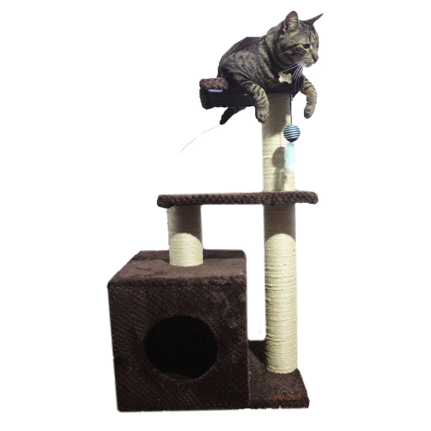 Gimnasio Rascador Para Gatos 48x38x80cm Mediano Café