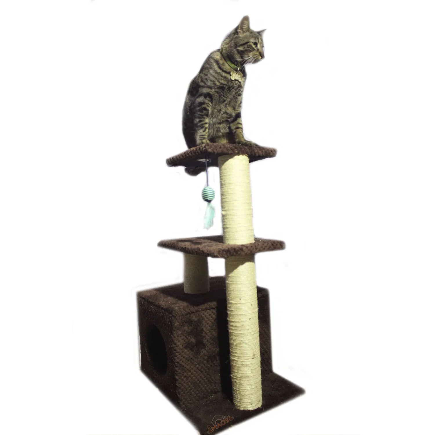 Gimnasio Rascador Para Gatos 48x38x80cm Mediano Café 3