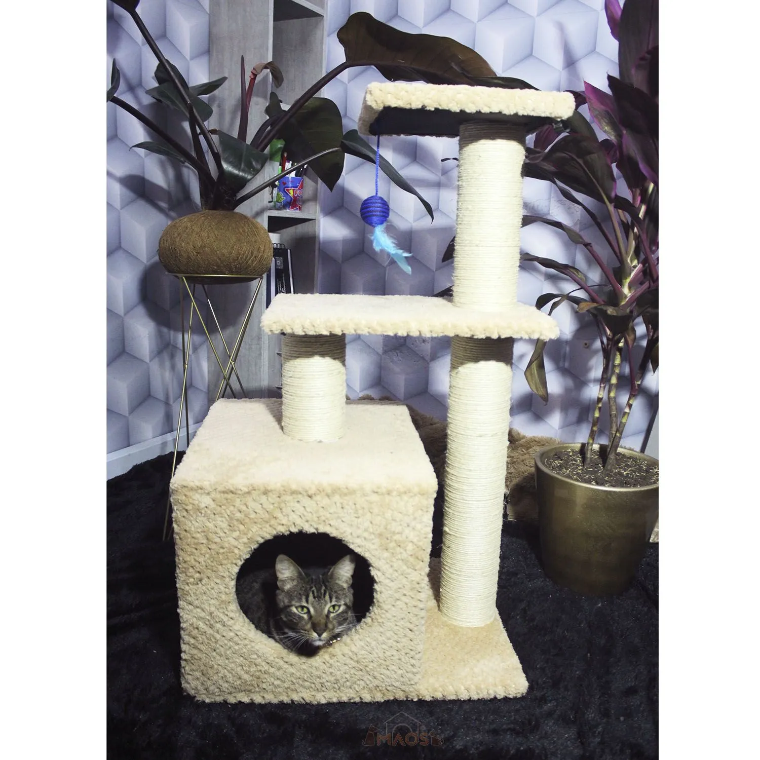 Gimnasio Rascador Para Gatos 48x38x80cm Mediano Beige 3