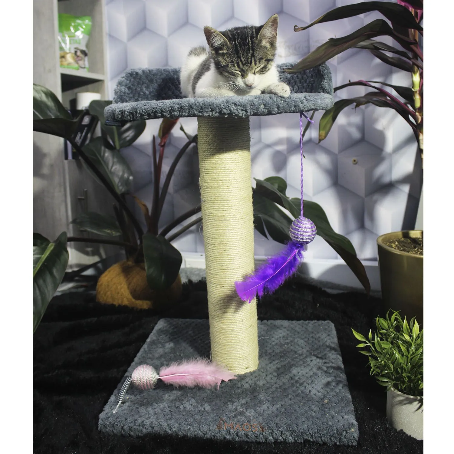 Gimnasio Rascador Para Gatos 40X40X60Cm Mediano Gris O