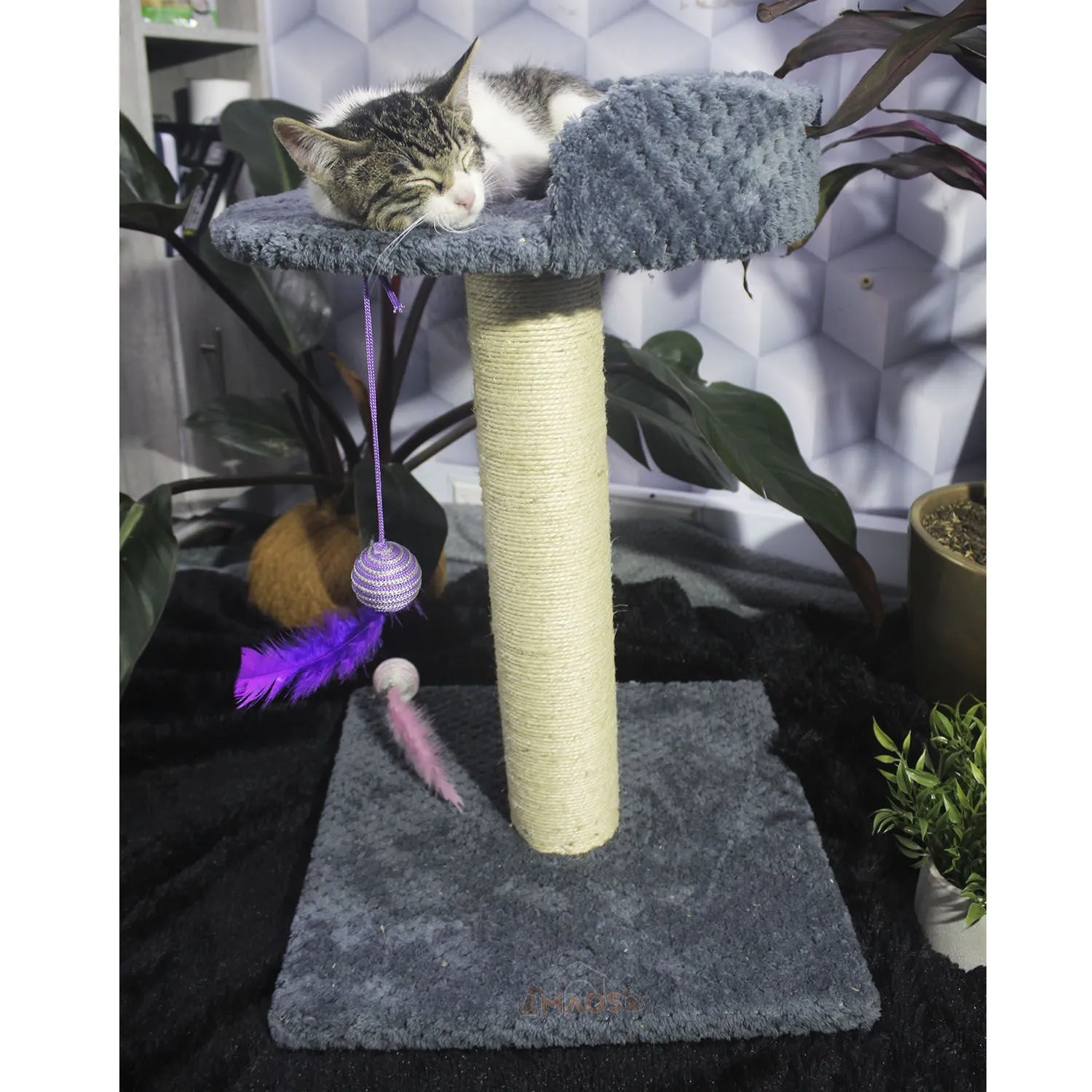 Gimnasio Rascador Para Gatos 40X40X60Cm Mediano Gris O 3