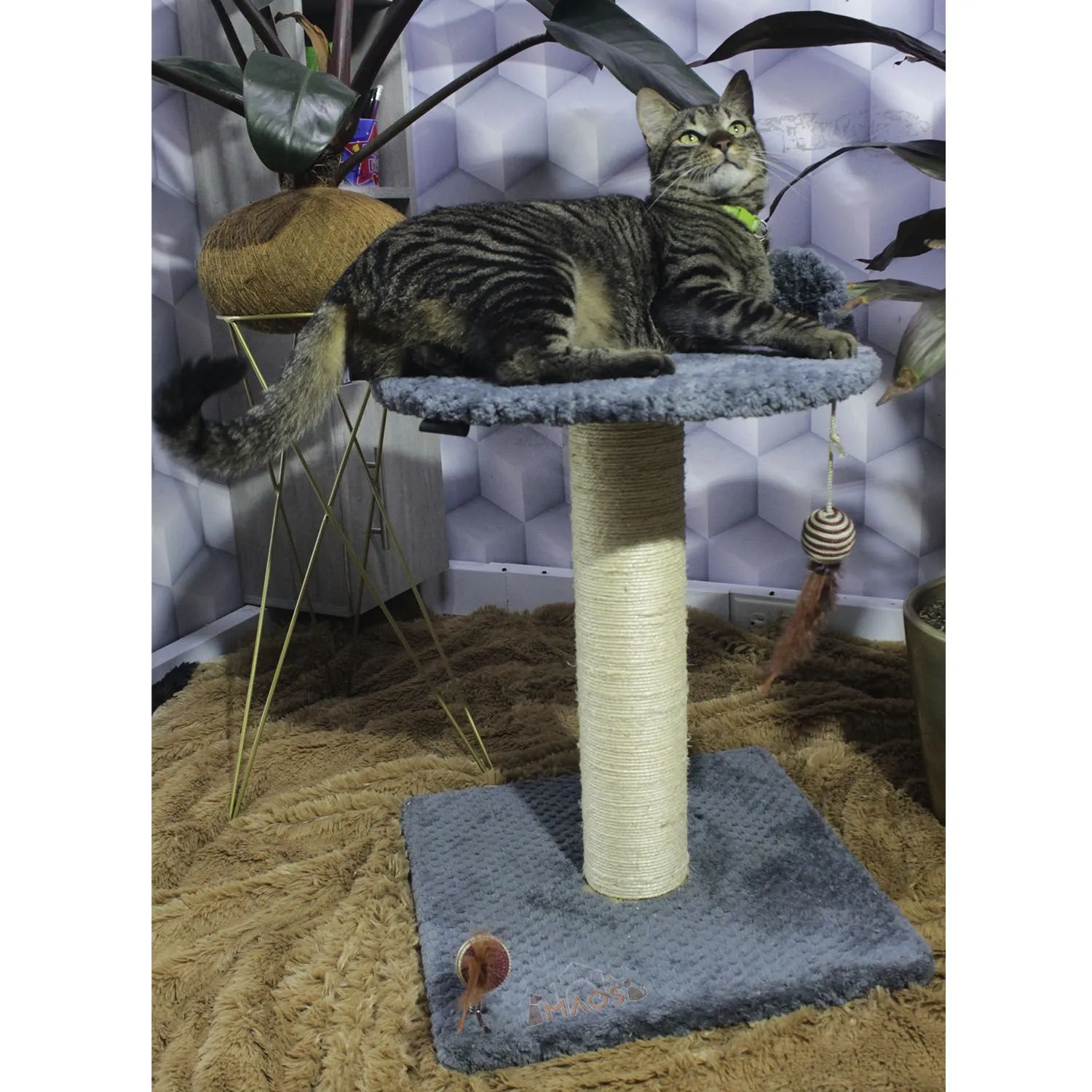 Gimnasio Rascador Para Gatos 40X40X60Cm Mediano Gris O 4