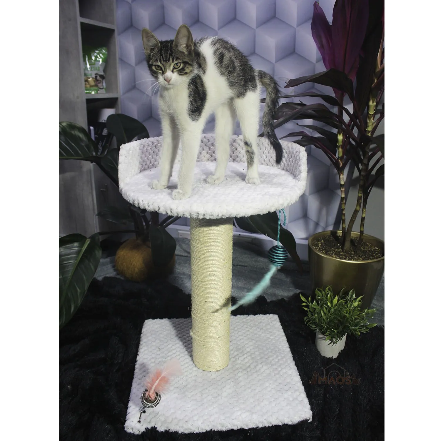 Gimnasio Rascador Para Gatos 40x40x60cm Mediano Gris