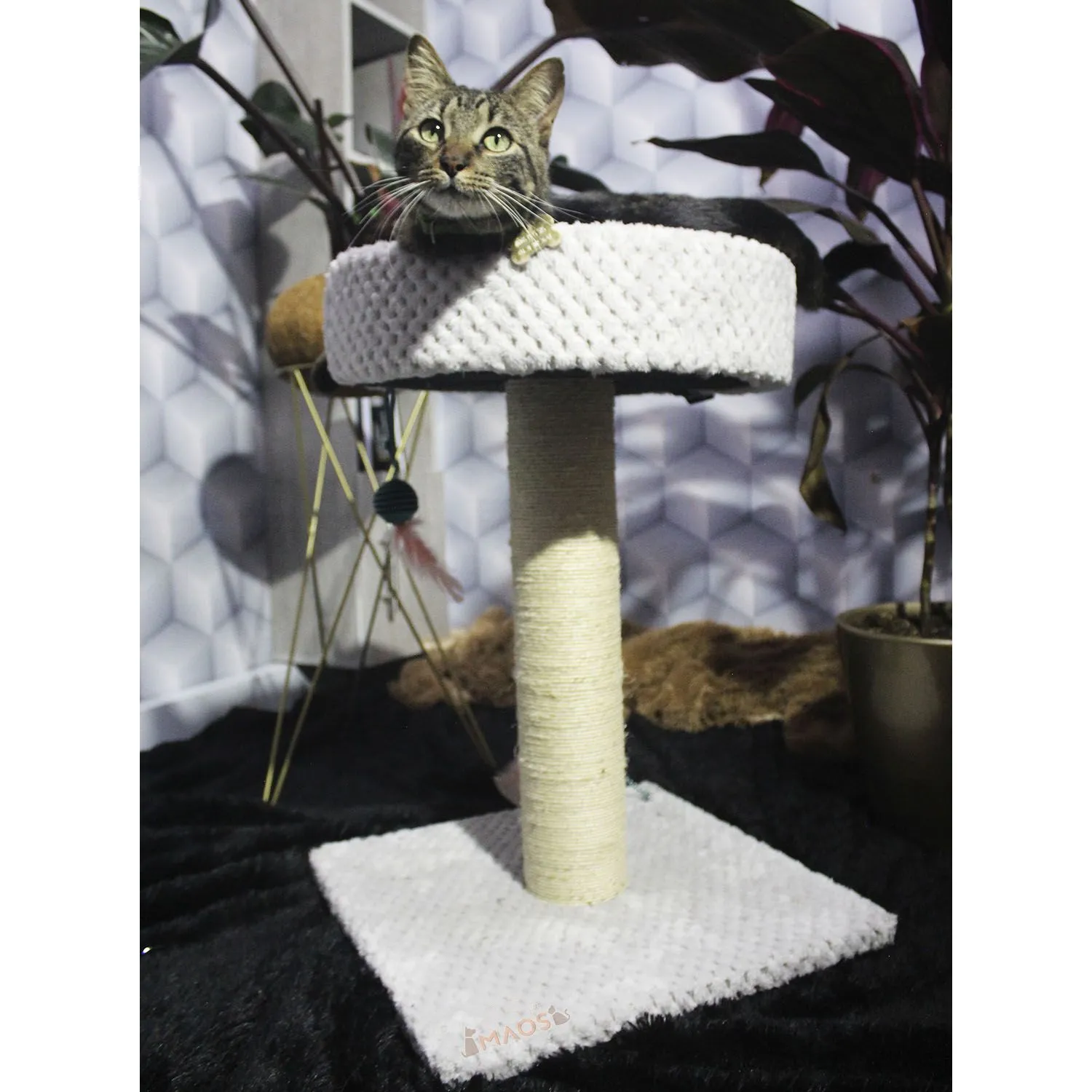 Gimnasio Rascador Para Gatos 40x40x60cm Mediano Gris 4