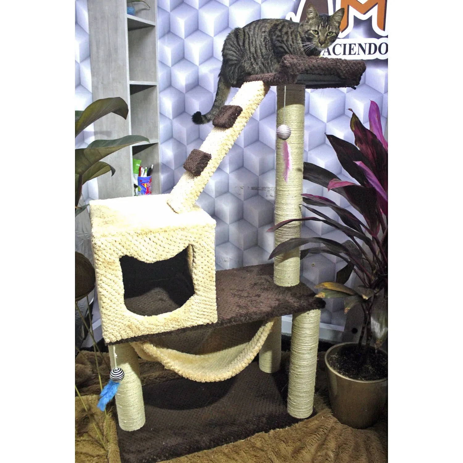 Gimnasio Rascador Para Gatos 70X40X130Cm Mediano Café