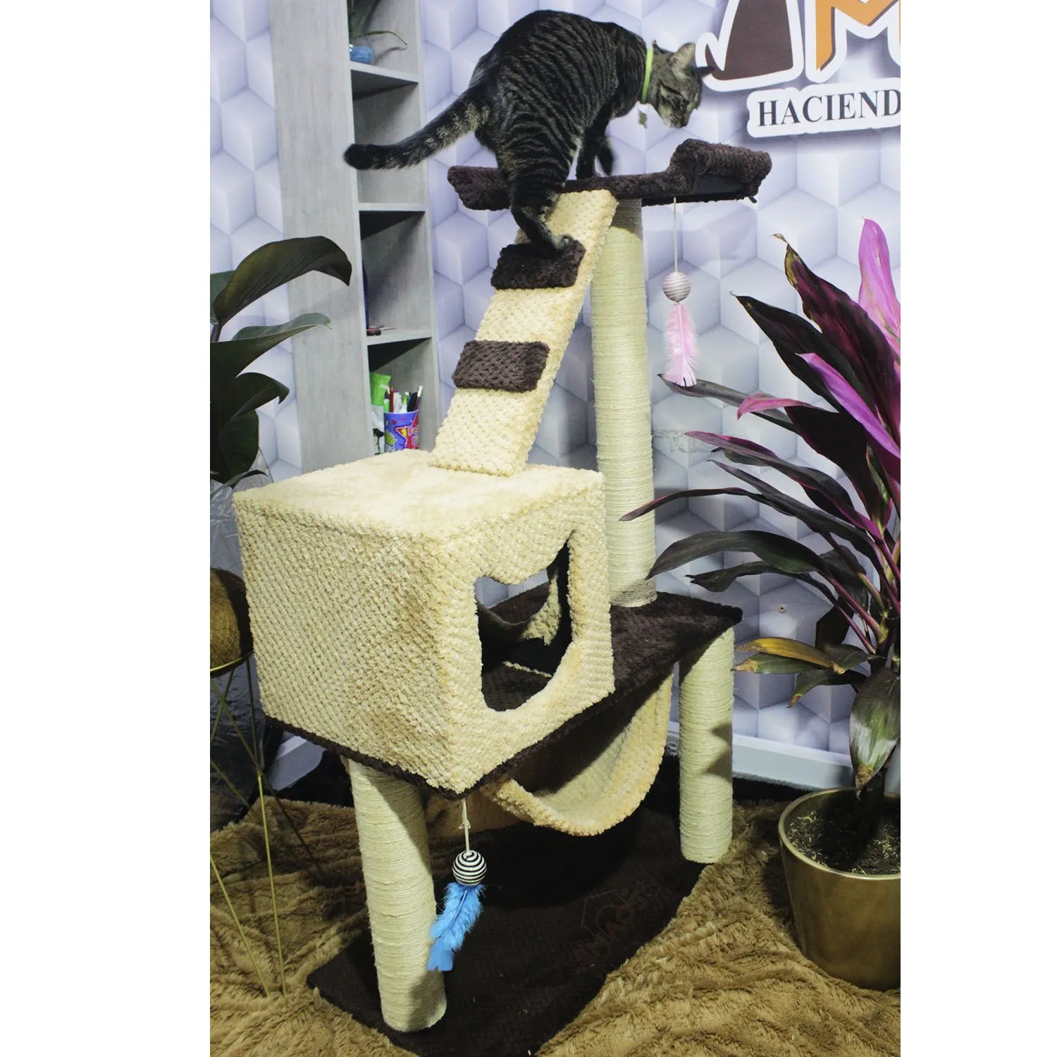 Gimnasio Rascador Para Gatos 70X40X130Cm Mediano Café 3
