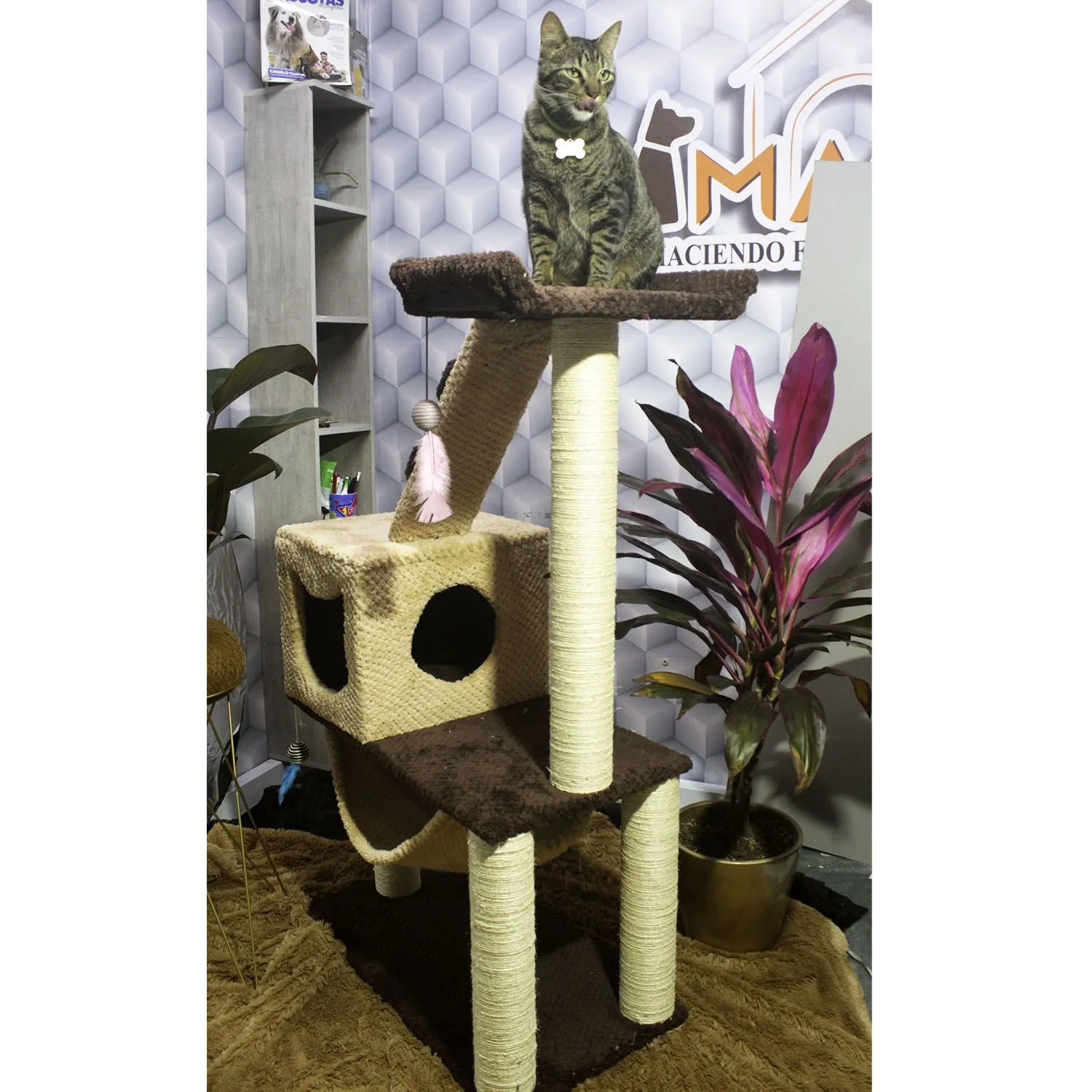 Gimnasio Rascador Para Gatos 70X40X130Cm Mediano Café 4