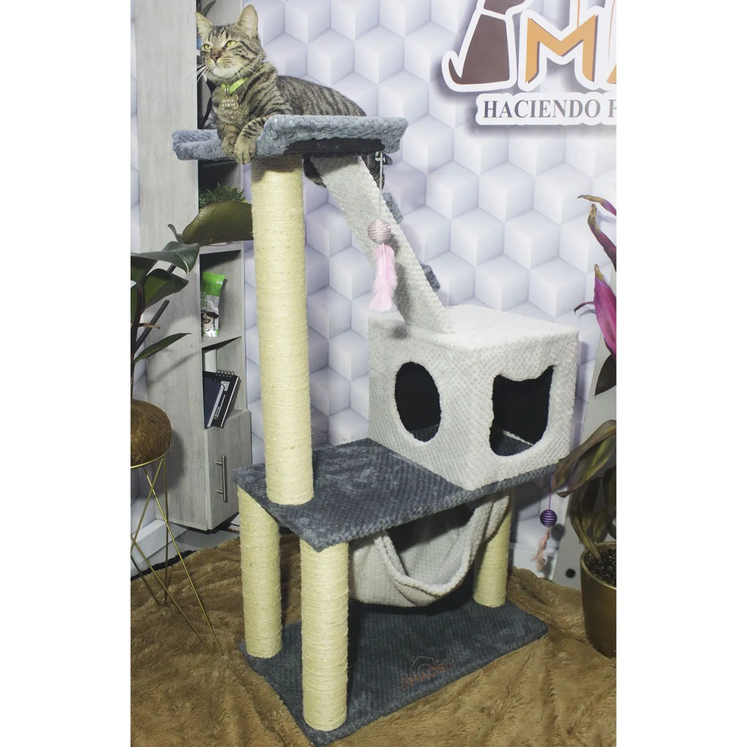Gimnasio Rascador Para Gatos 70X40X130Cm Mediano 3