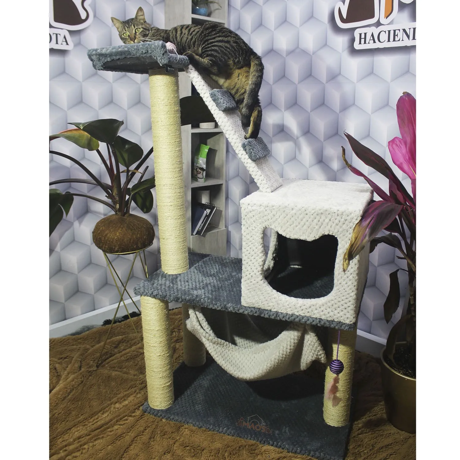 Gimnasio Rascador Para Gatos 70X40X130Cm Mediano 5