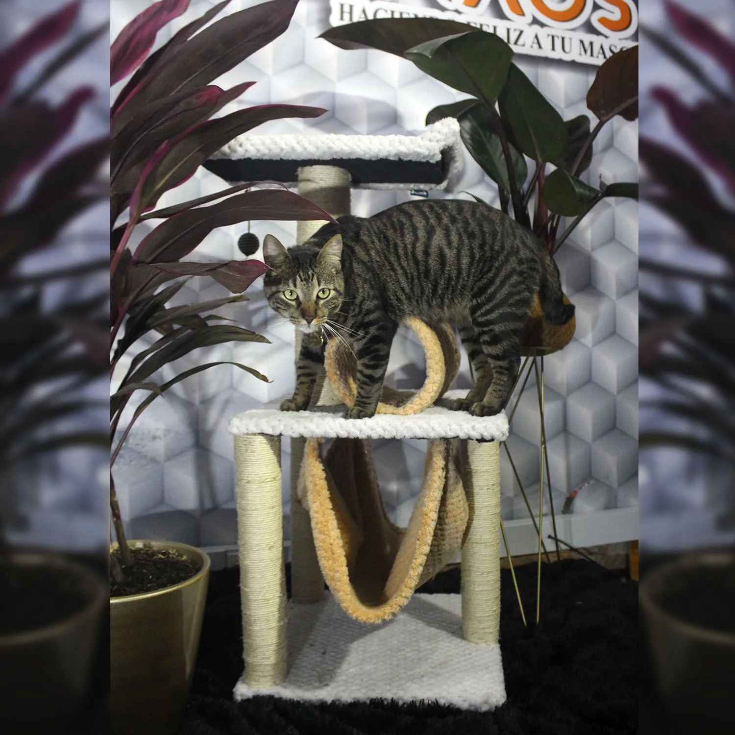Gimnasio Rascador Para Gatos 40X40X90Cm Mediano Gris