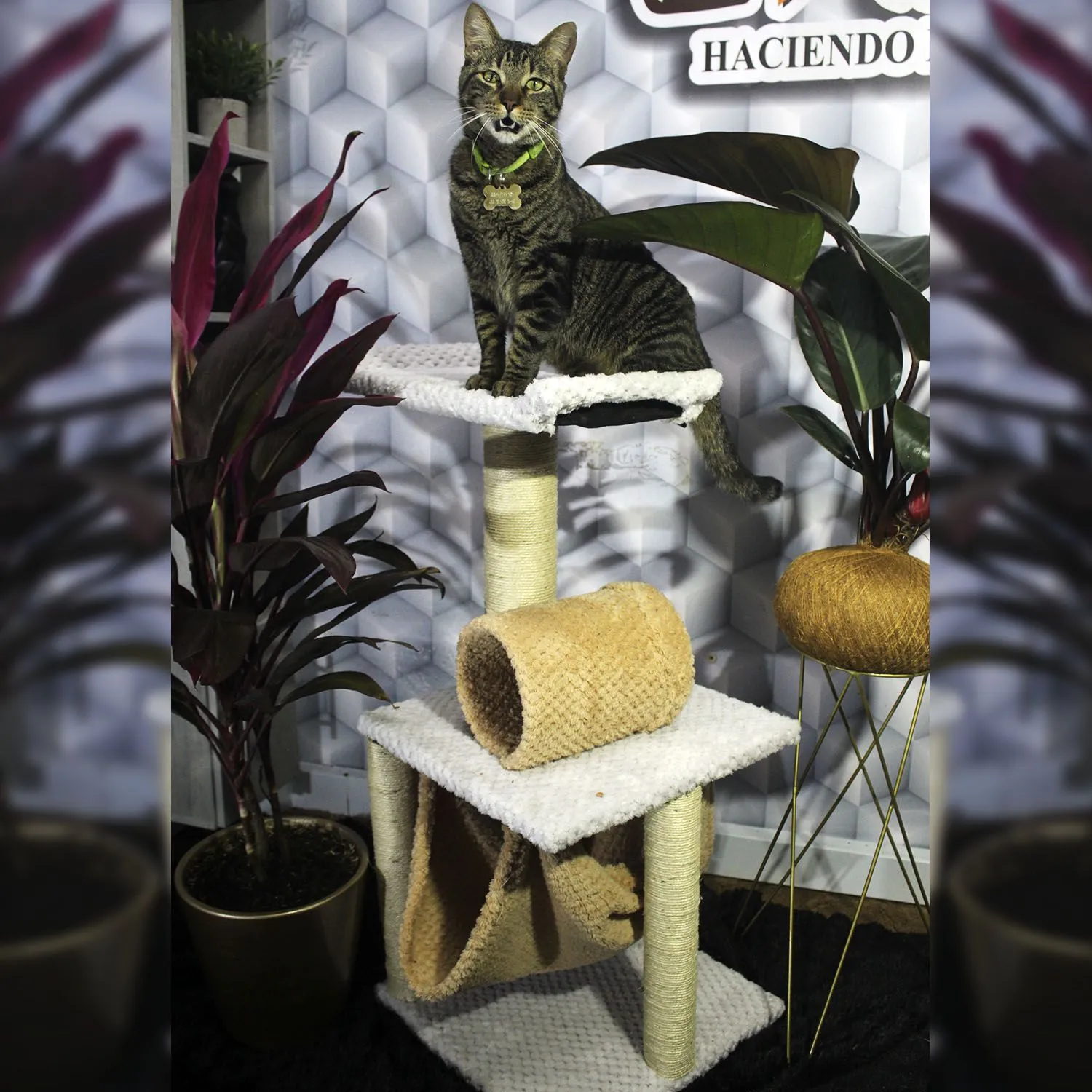 Gimnasio Rascador Para Gatos 40X40X90Cm Mediano Gris 4