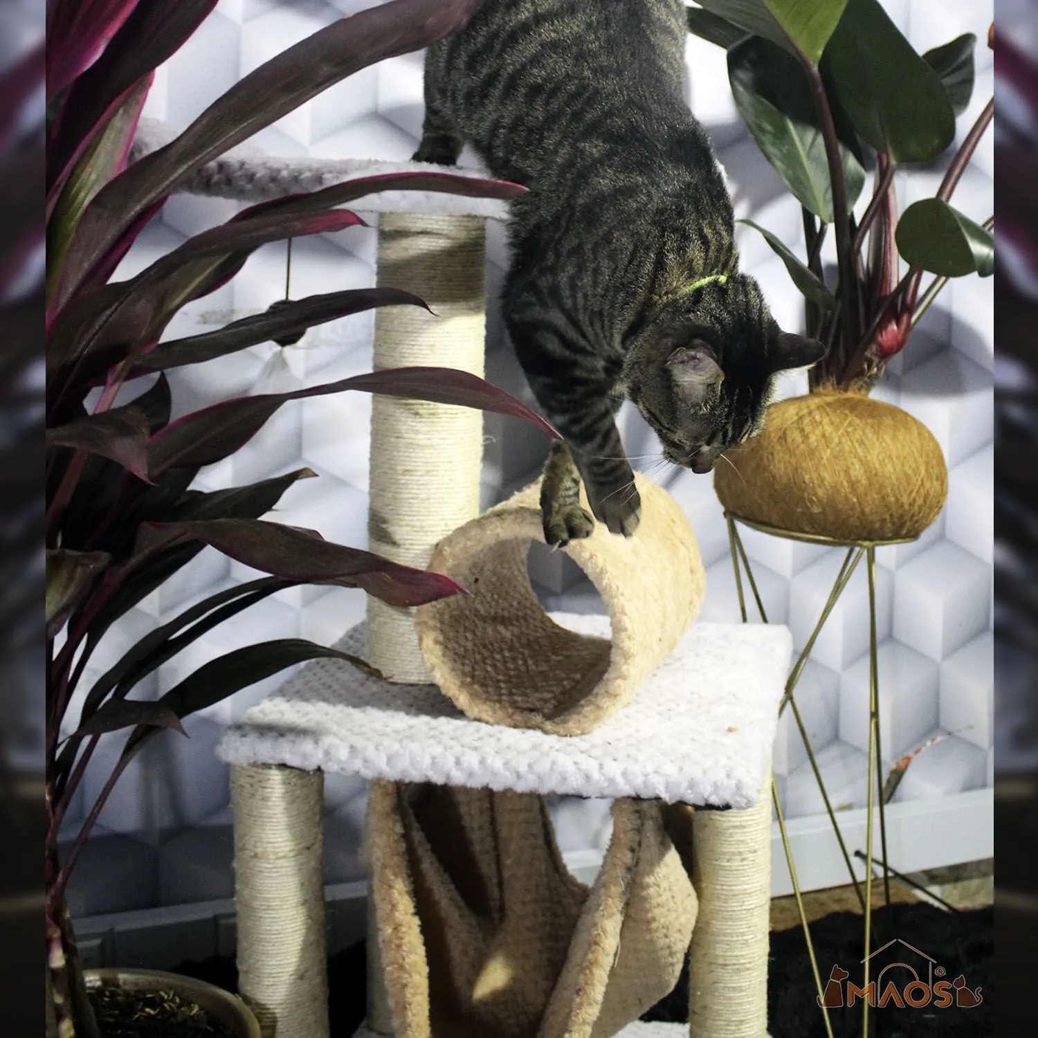 Gimnasio Rascador Para Gatos 40X40X90Cm Mediano Gris 5