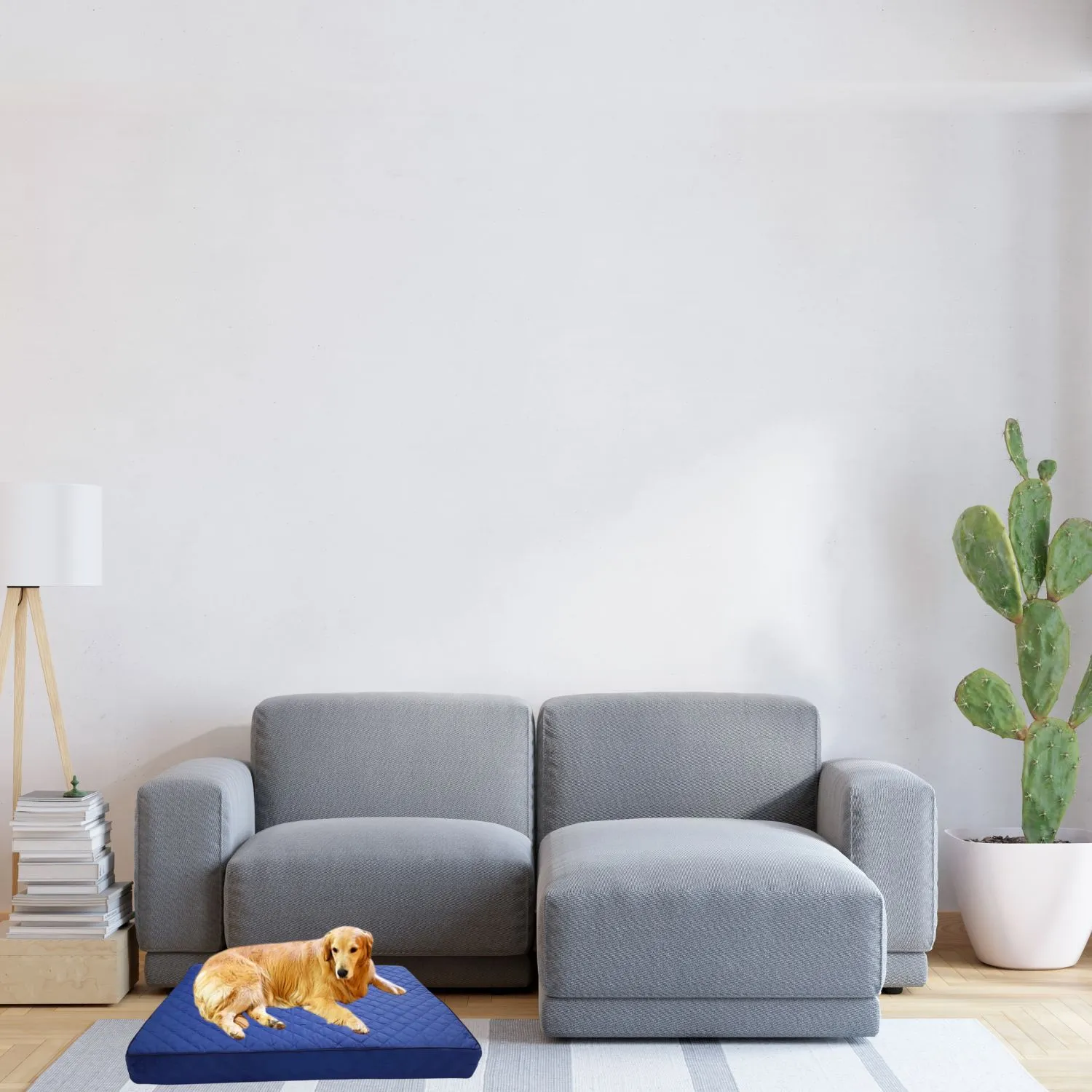 Cama para Perro Outdoor  70x50x10cm Pequeña Verde Azul Oscuro Border