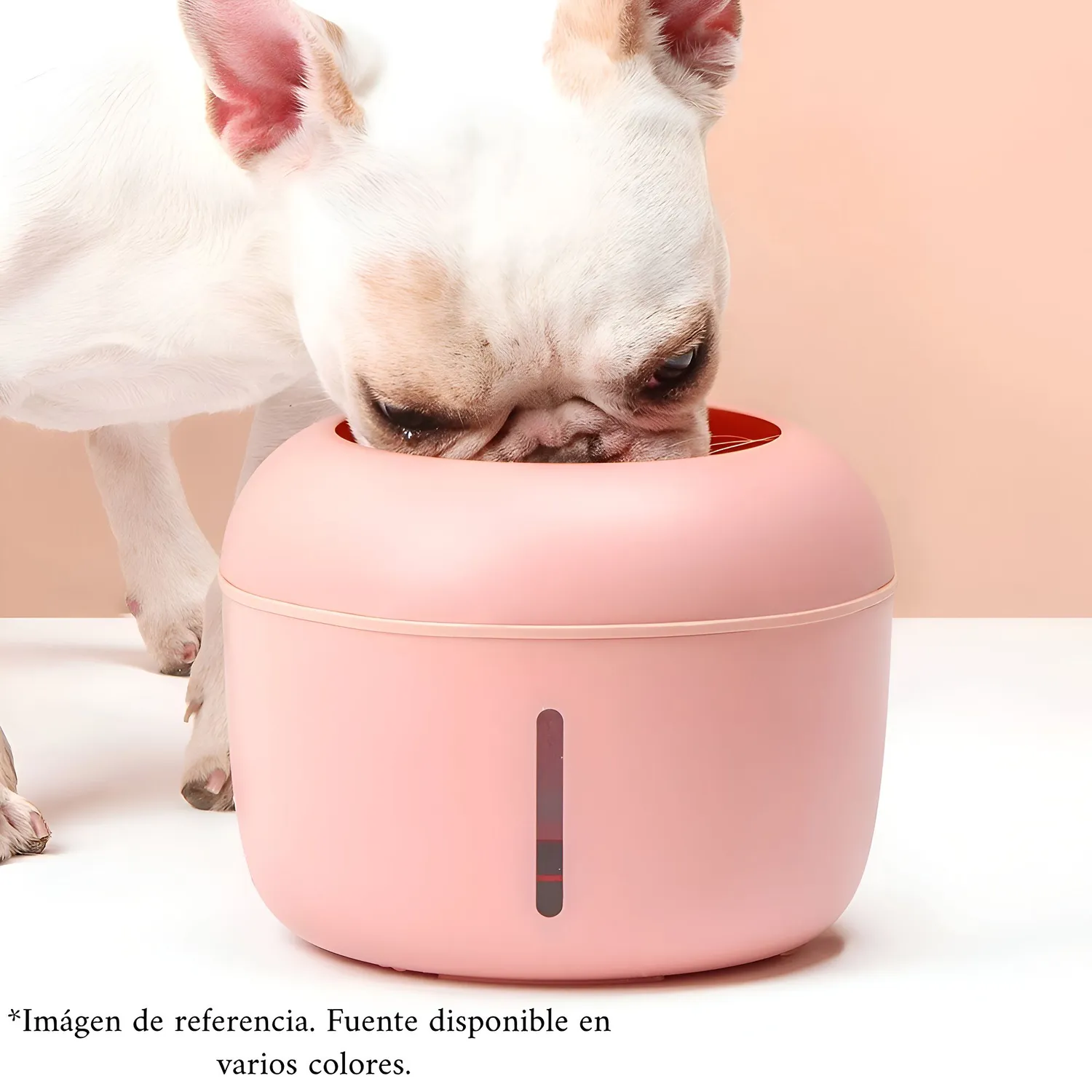 Fuente De Agua Para Perro Importada Verde