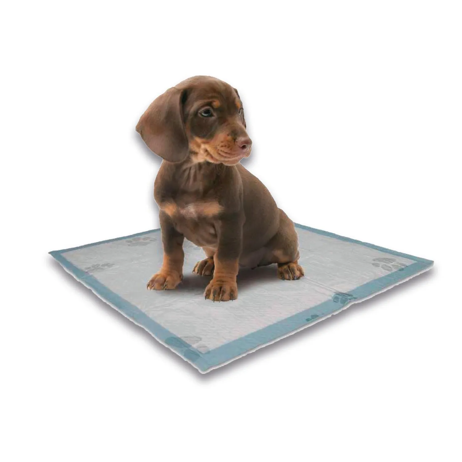 Tapete  Para Perro De Entrenamiento  12Unid + Repuesto De Bolsa Petizoos