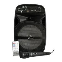 Sonido y Karaoke Portátil Genérico