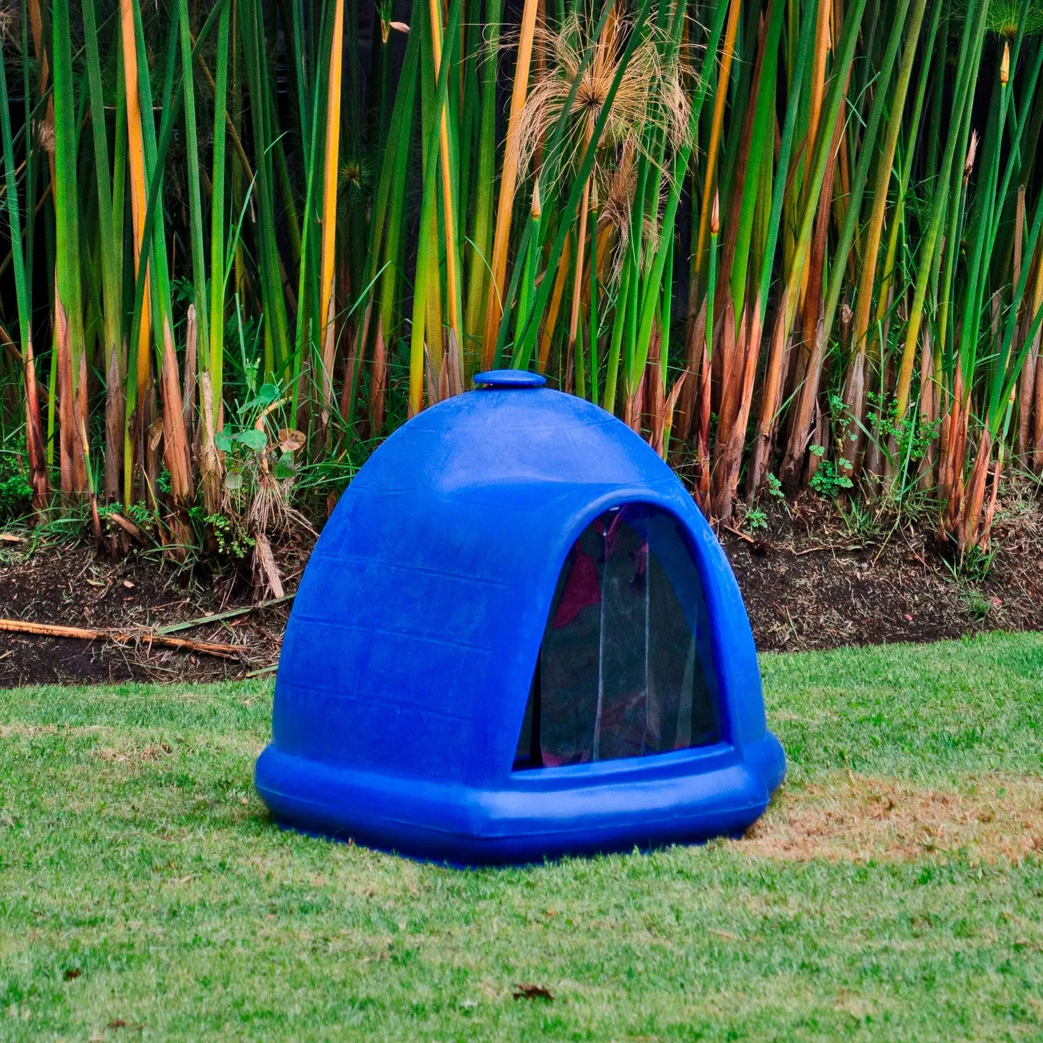 Casa Para Perros Iglú 82x56x56cm Mediano Azul