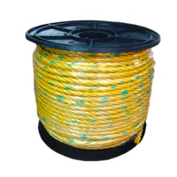 Soga Clasica 13mm 75m Forte